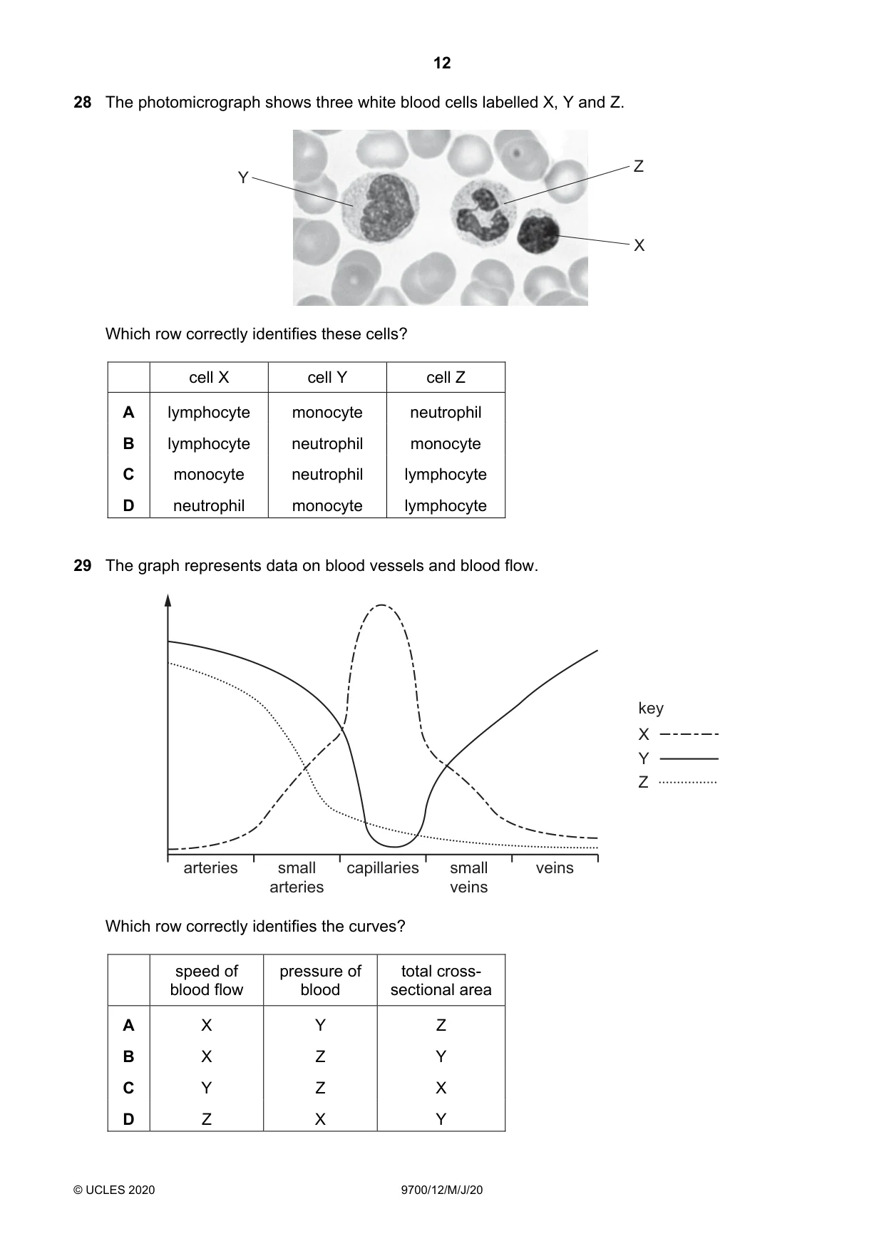 Cambridge A Level Biology 9700 2020 May/June Paper 1 · Variant 2 question paper, page 12 of 16