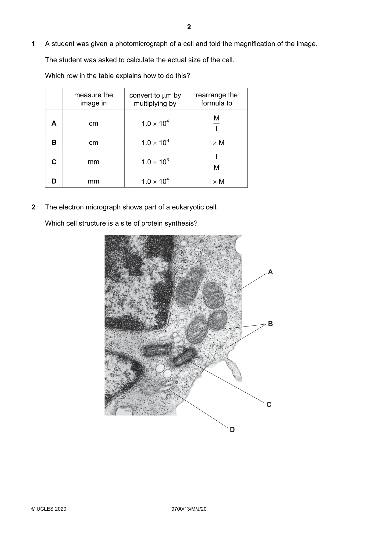 Cambridge A Level Biology 9700 2020 May/June Paper 1 · Variant 3 question paper, page 2 of 20
