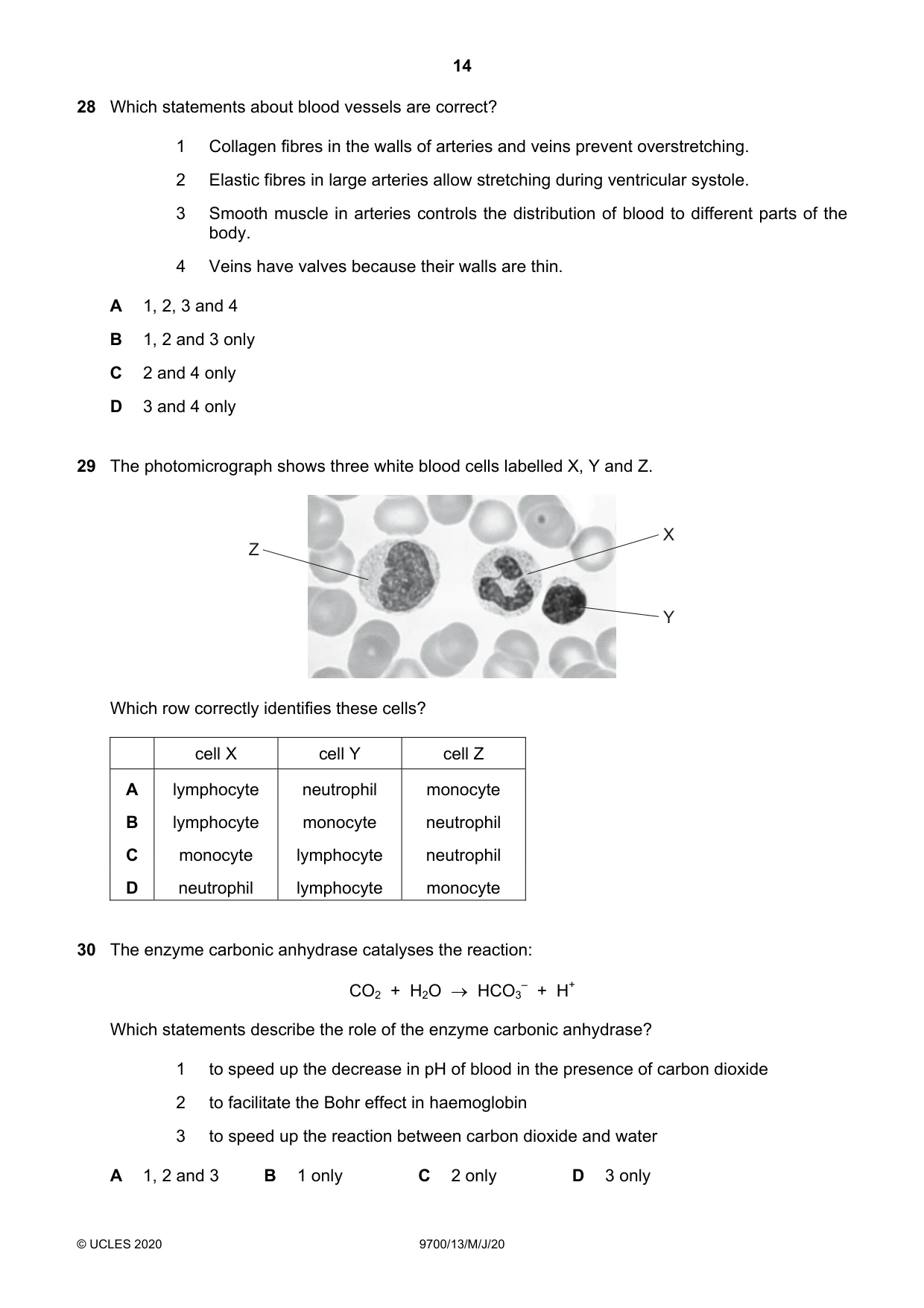 Cambridge A Level Biology 9700 2020 May/June Paper 1 · Variant 3 question paper, page 14 of 20