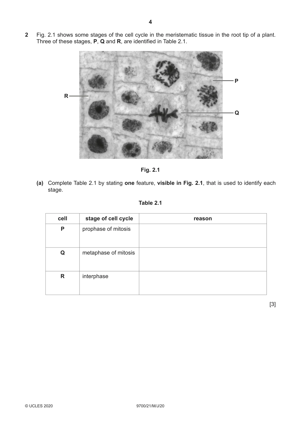 Cambridge A Level Biology 9700 2020 May/June Paper 2 · Variant 1 question paper, page 4 of 16