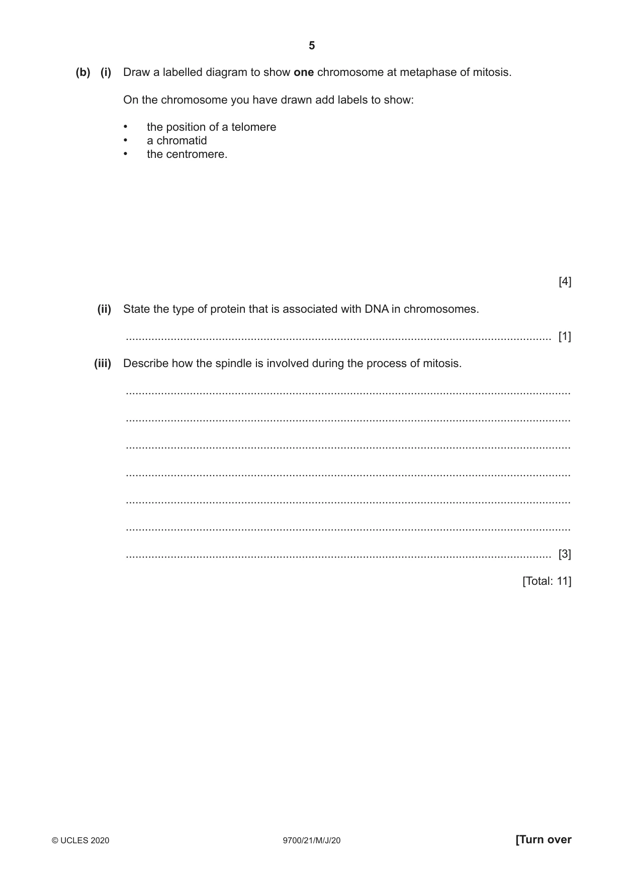 Cambridge A Level Biology 9700 2020 May/June Paper 2 · Variant 1 question paper, page 5 of 16