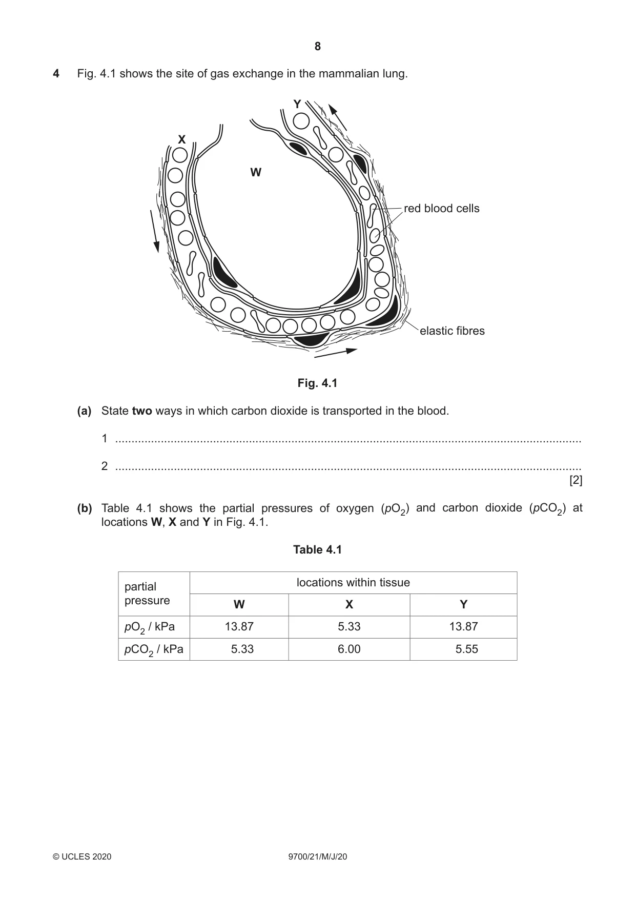 Cambridge A Level Biology 9700 2020 May/June Paper 2 · Variant 1 question paper, page 8 of 16