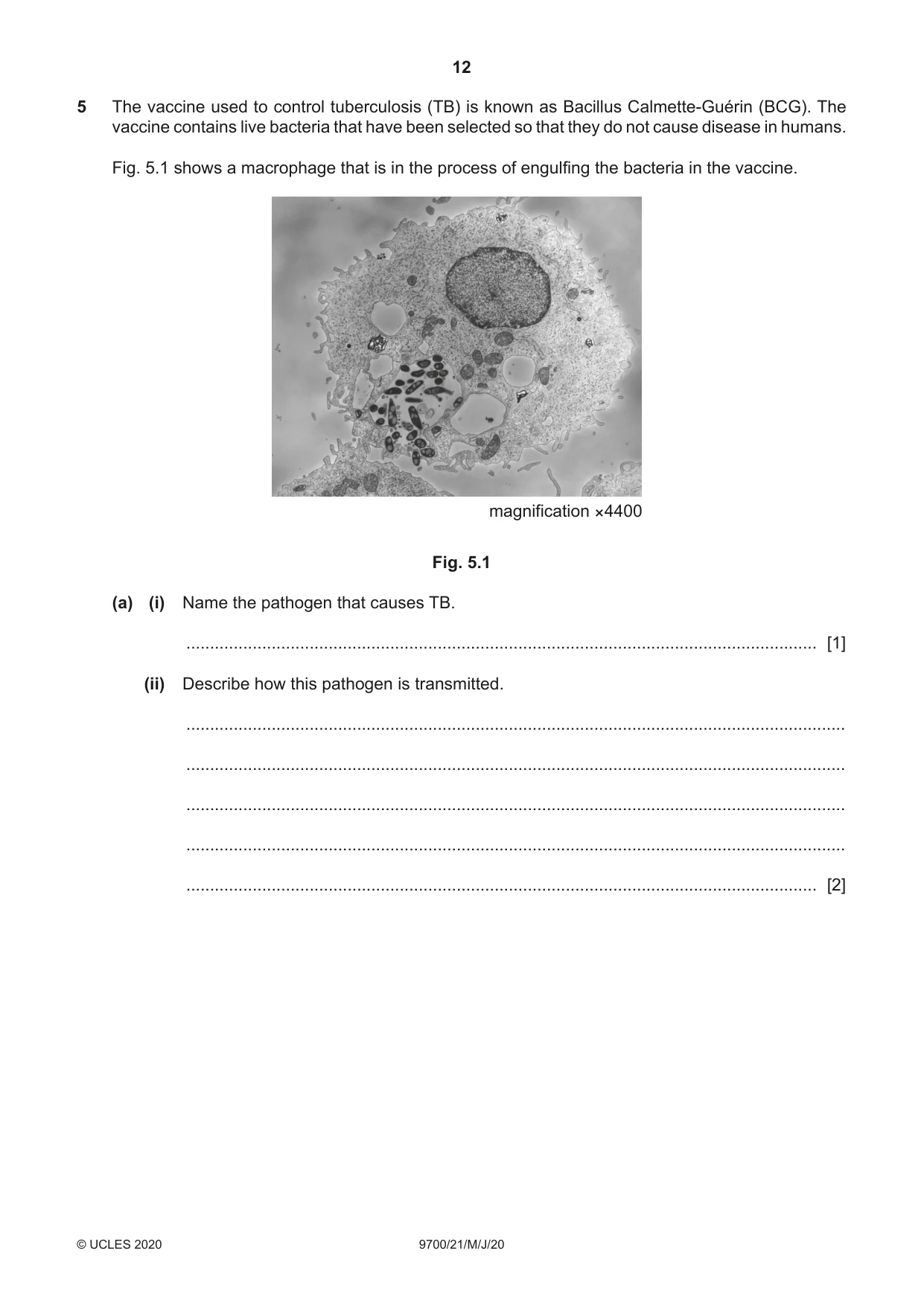 Cambridge A Level Biology 9700 2020 May/June Paper 2 · Variant 1 question paper, page 12 of 16