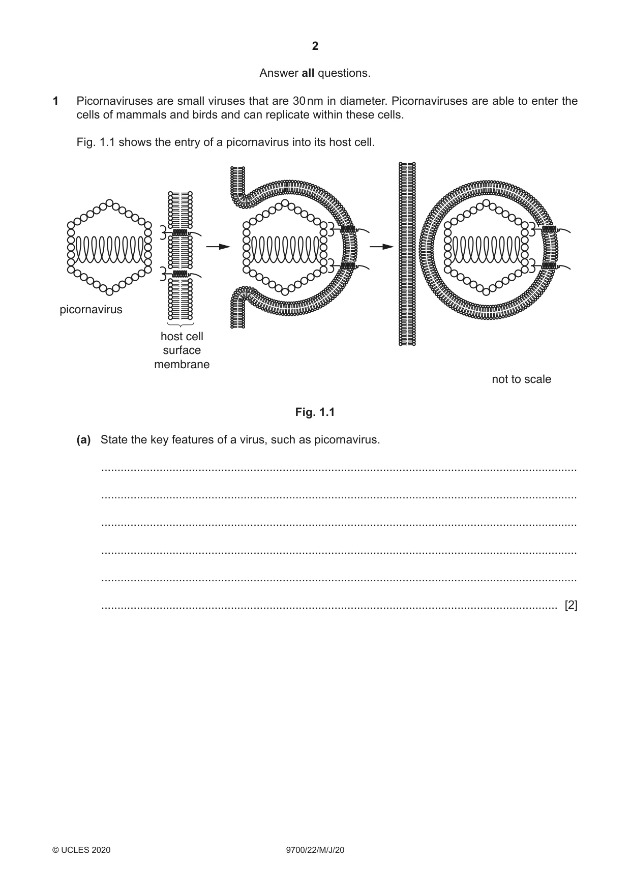 Cambridge A Level Biology 9700 2020 May/June Paper 2 · Variant 2 question paper, page 2 of 16