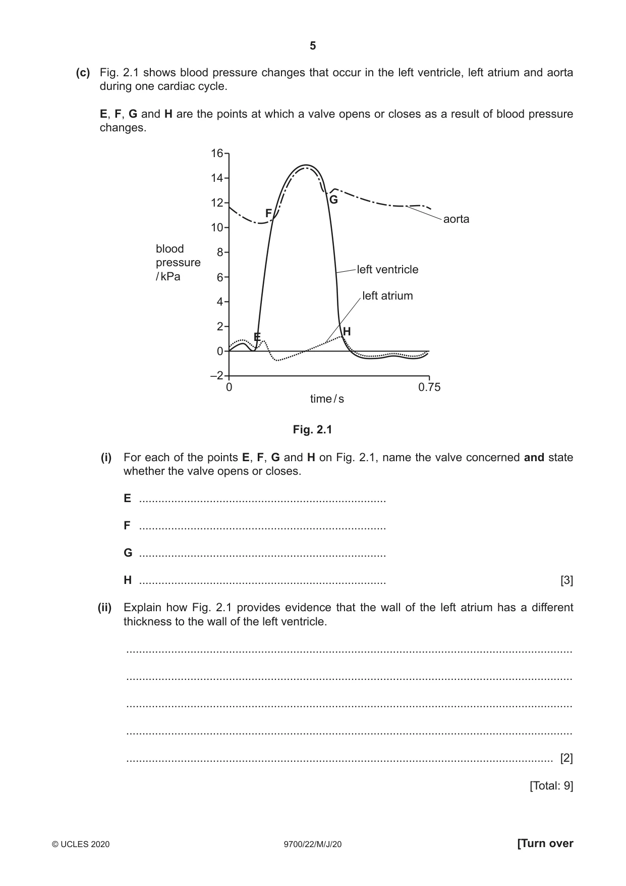 Cambridge A Level Biology 9700 2020 May/June Paper 2 · Variant 2 question paper, page 5 of 16