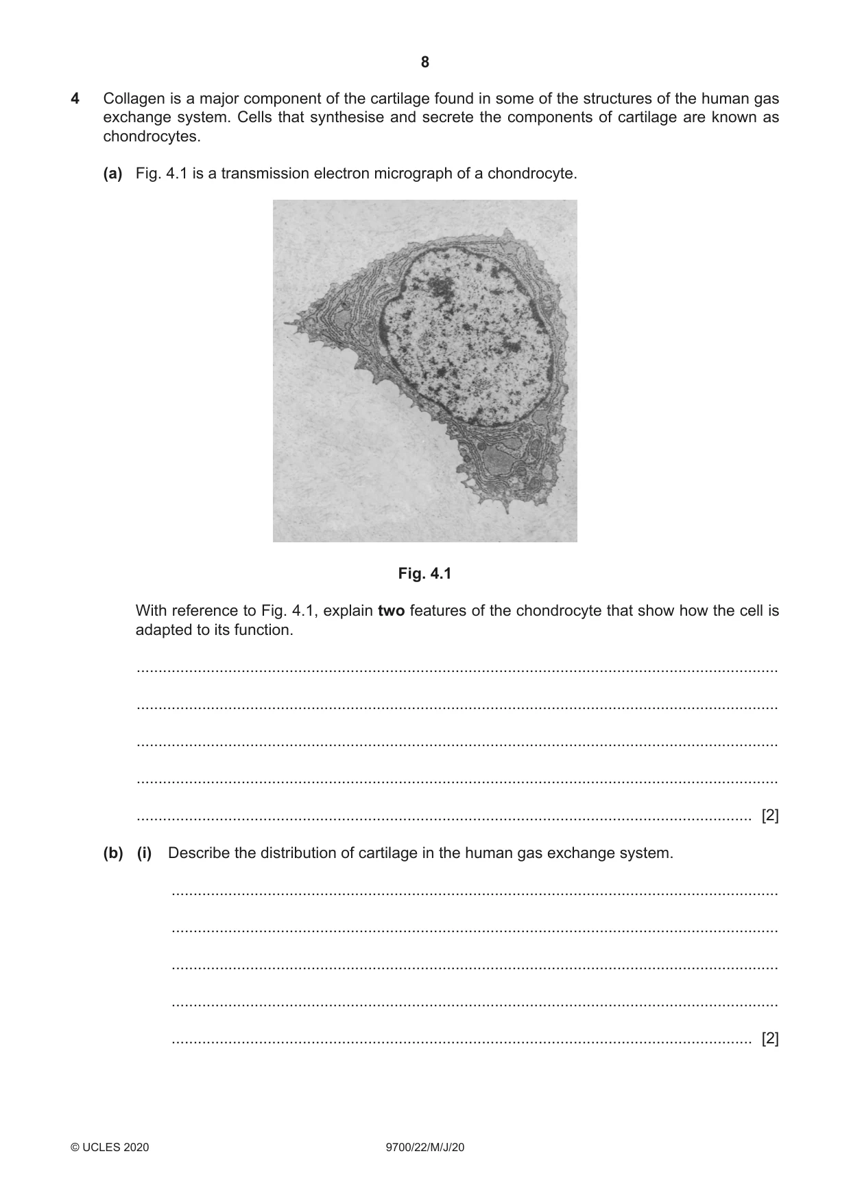 Cambridge A Level Biology 9700 2020 May/June Paper 2 · Variant 2 question paper, page 8 of 16