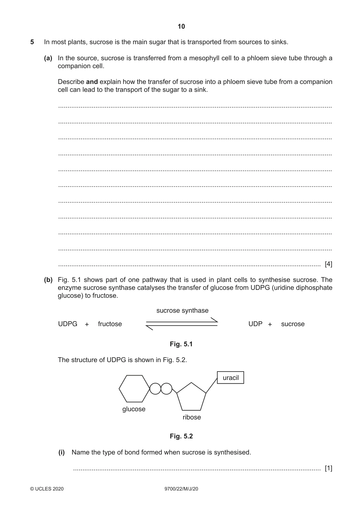 Cambridge A Level Biology 9700 2020 May/June Paper 2 · Variant 2 question paper, page 10 of 16
