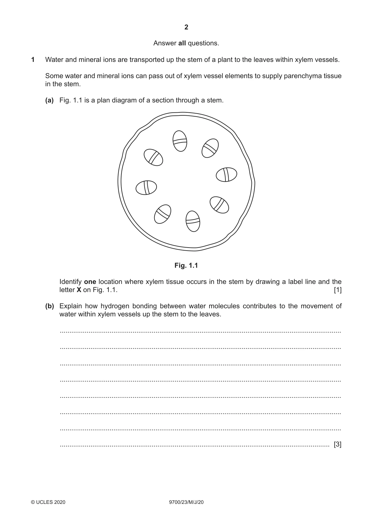Cambridge A Level Biology 9700 2020 May/June Paper 2 · Variant 3 question paper, page 2 of 16