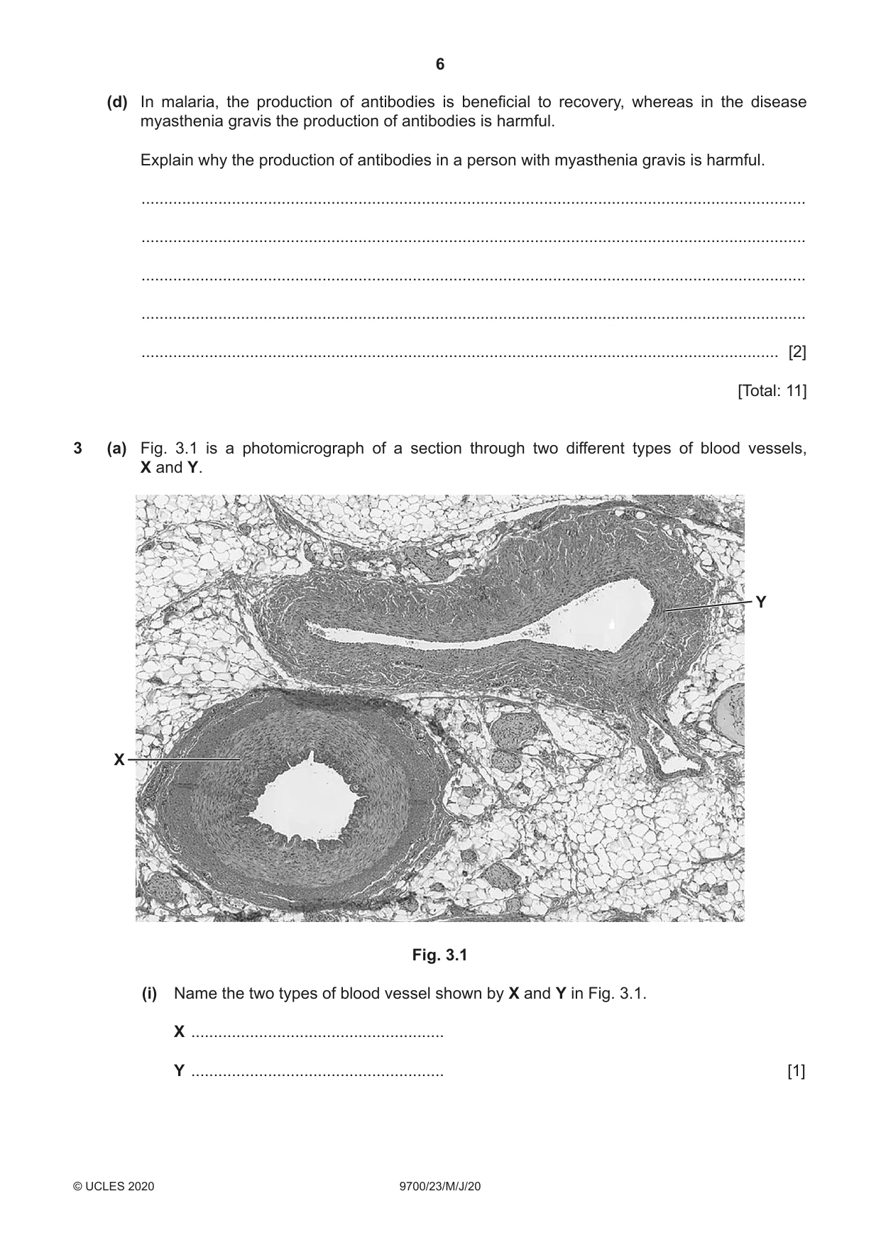 Cambridge A Level Biology 9700 2020 May/June Paper 2 · Variant 3 question paper, page 6 of 16