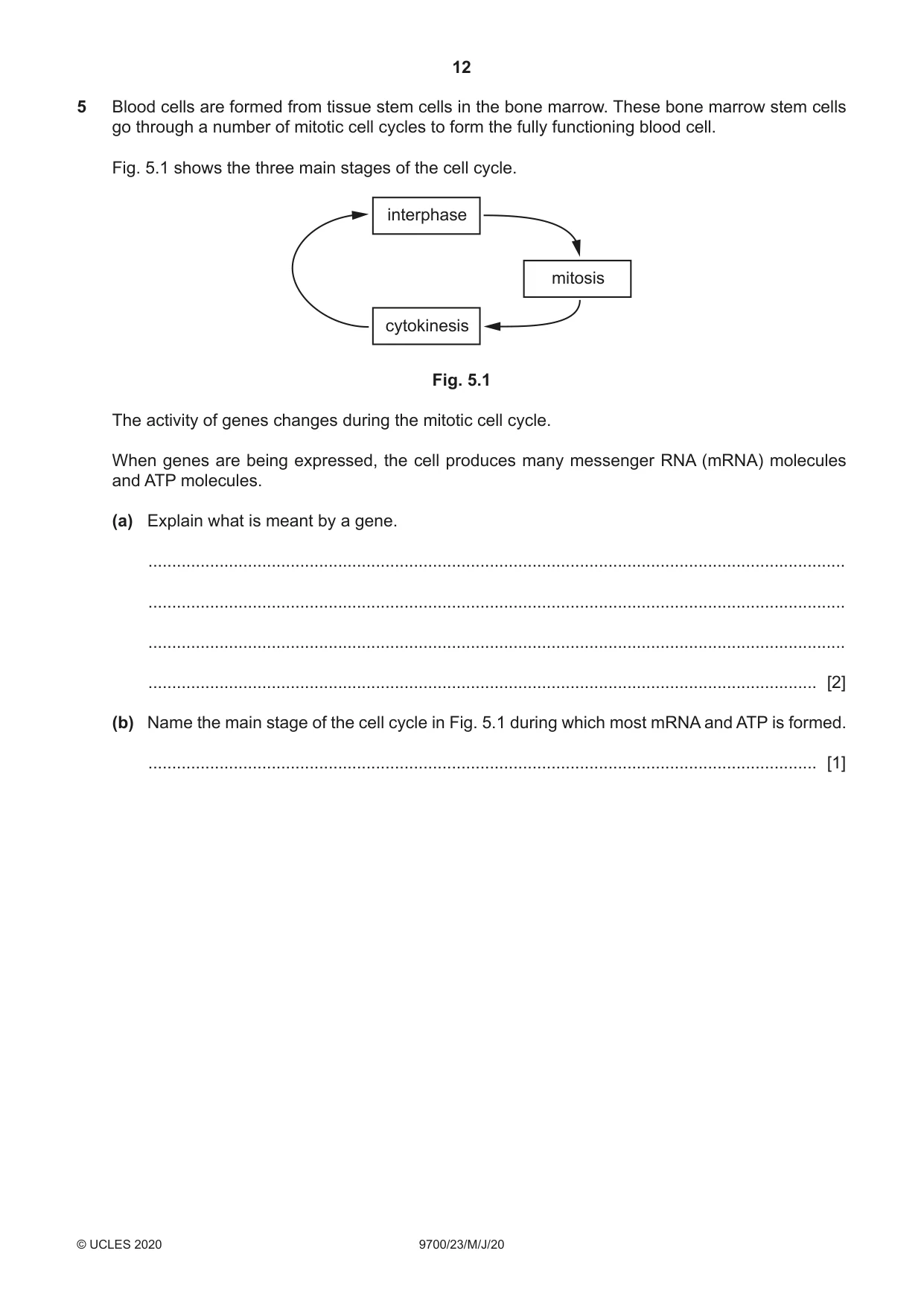 Cambridge A Level Biology 9700 2020 May/June Paper 2 · Variant 3 question paper, page 12 of 16