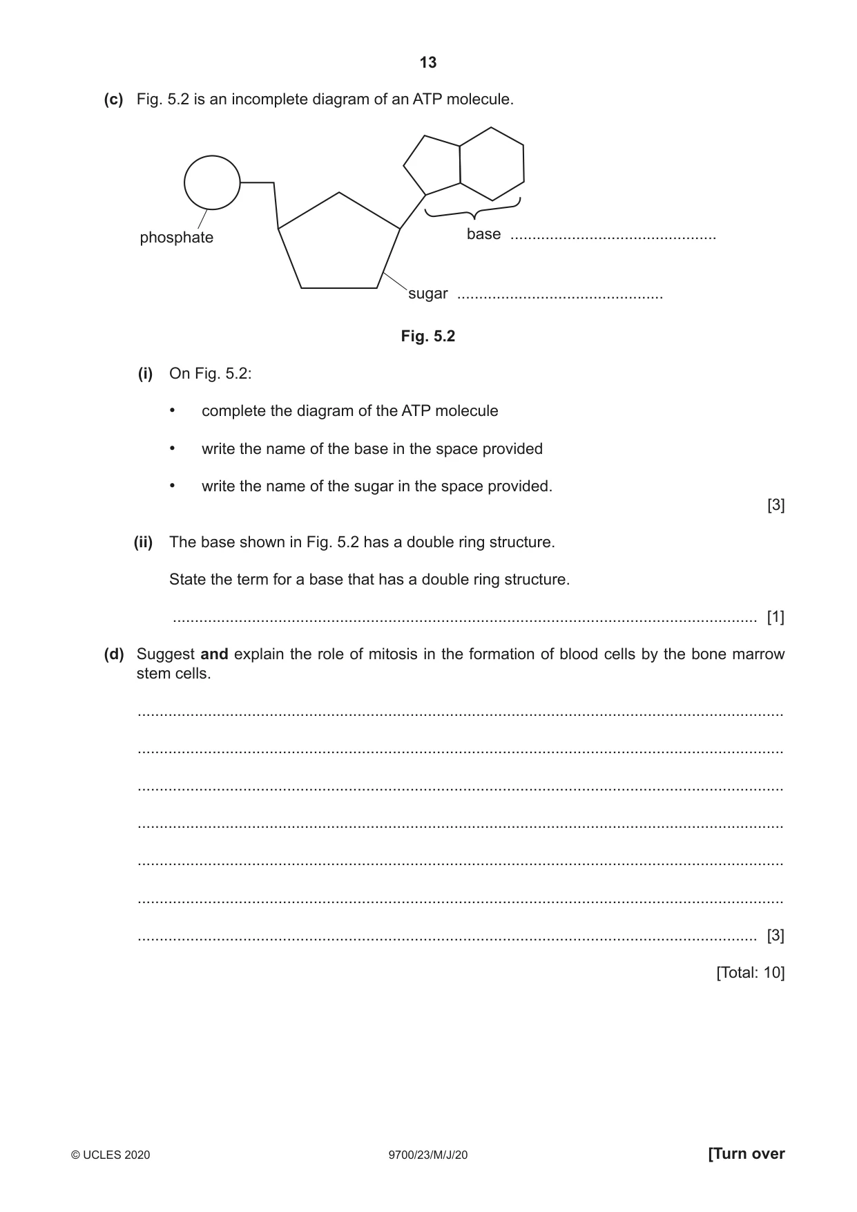Cambridge A Level Biology 9700 2020 May/June Paper 2 · Variant 3 question paper, page 13 of 16
