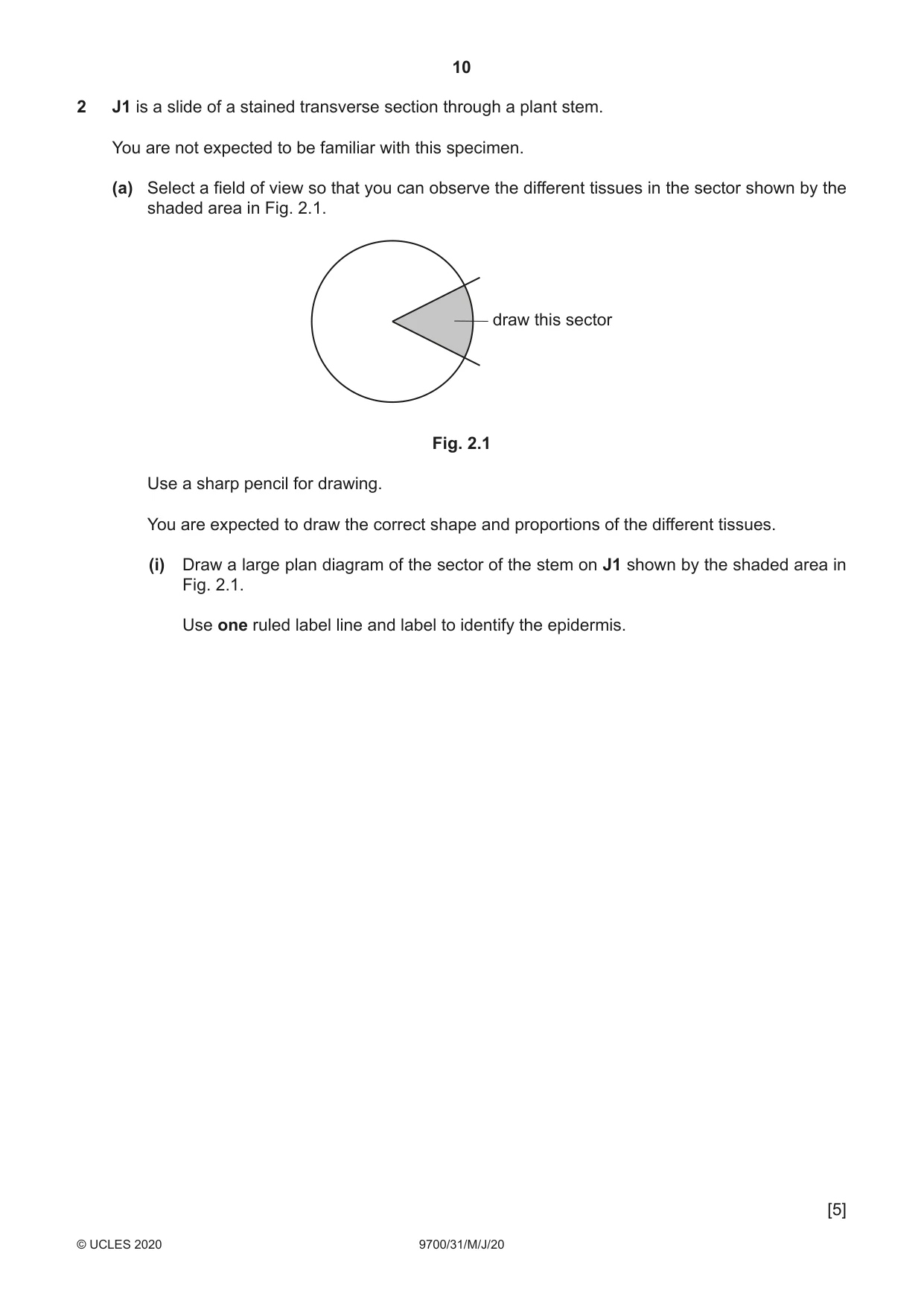 Cambridge A Level Biology 9700 2020 May/June Paper 3 · Variant 1 question paper, page 10 of 16