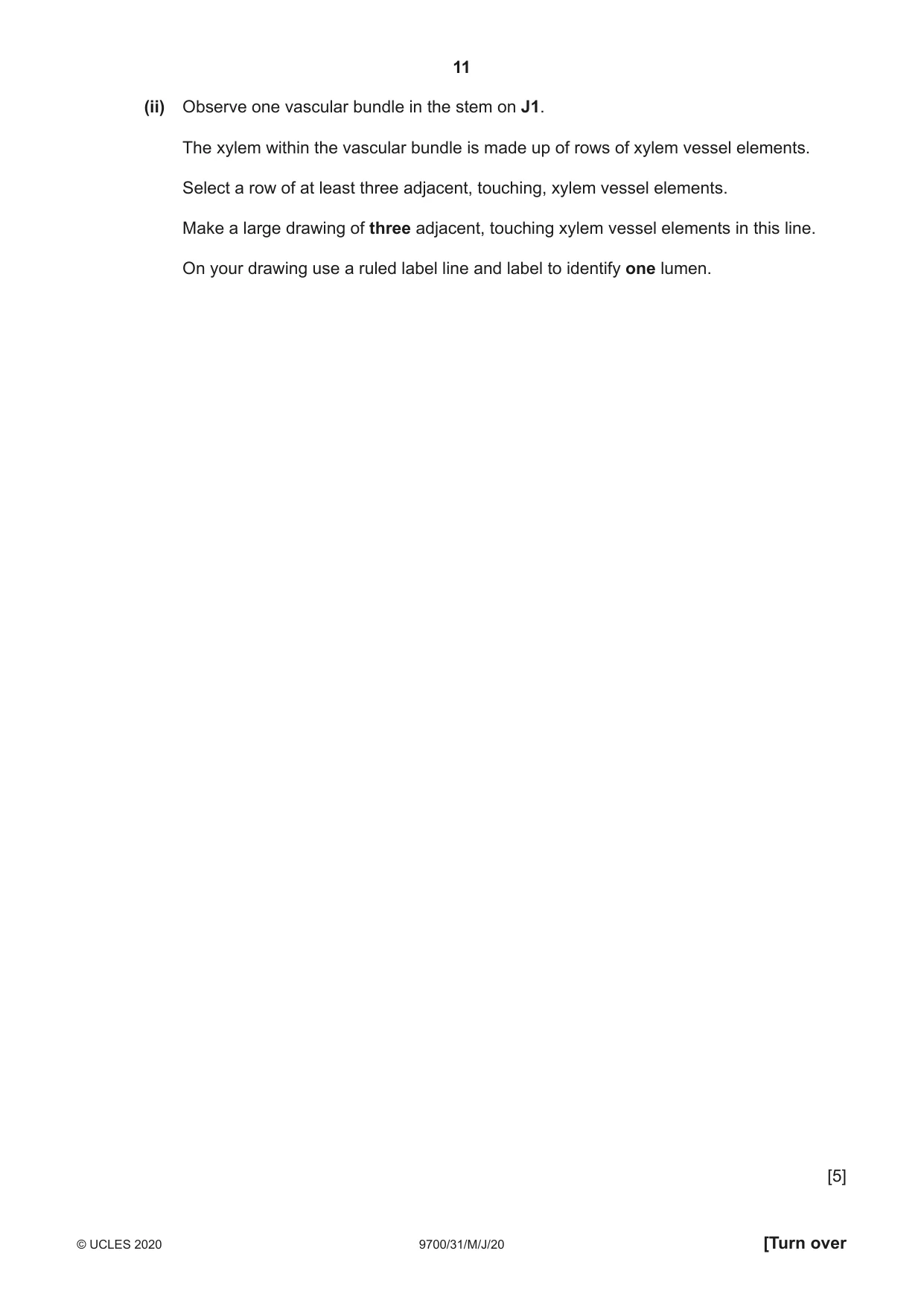 Cambridge A Level Biology 9700 2020 May/June Paper 3 · Variant 1 question paper, page 11 of 16