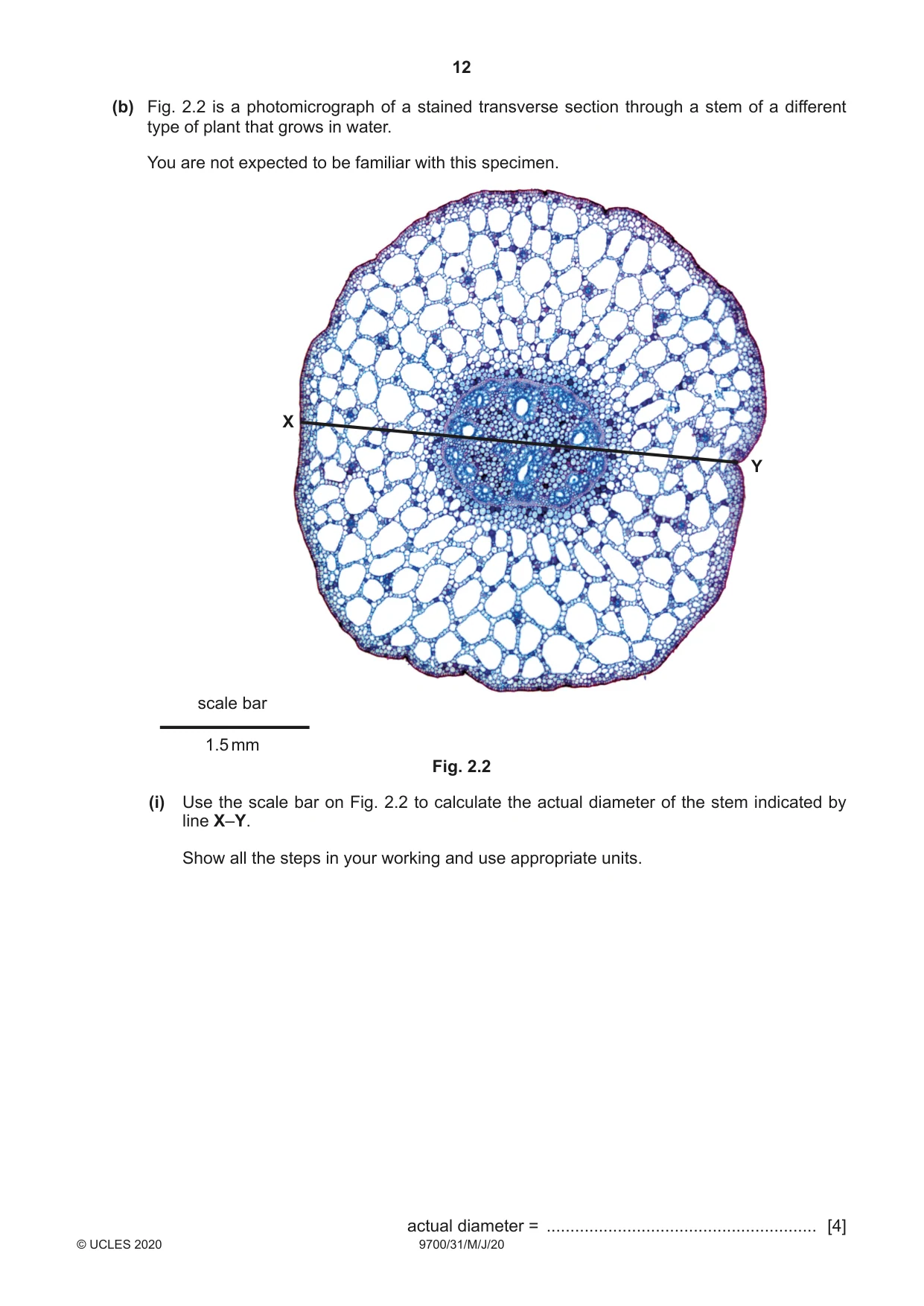Cambridge A Level Biology 9700 2020 May/June Paper 3 · Variant 1 question paper, page 12 of 16
