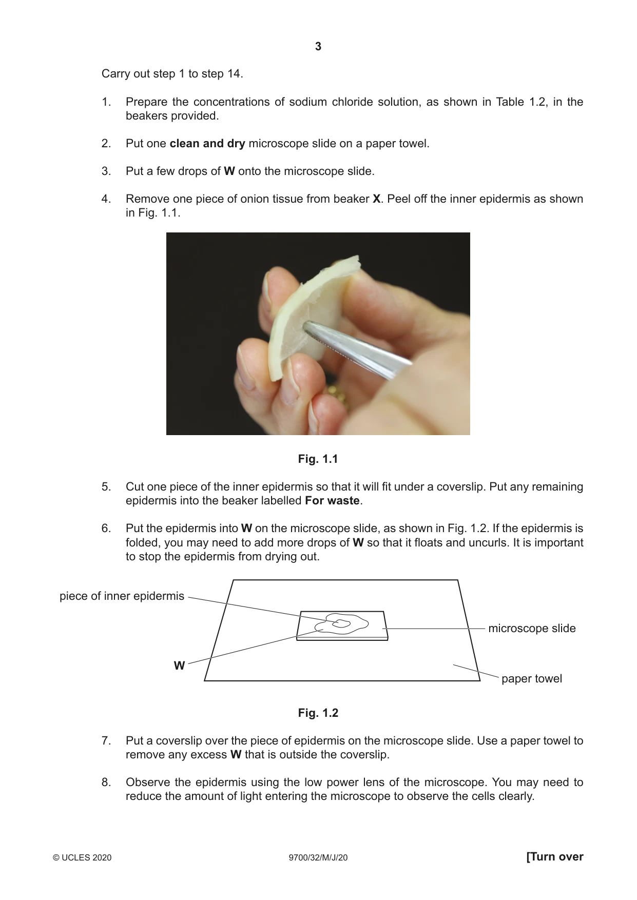 Cambridge A Level Biology 9700 2020 May/June Paper 3 · Variant 2 question paper, page 3 of 16
