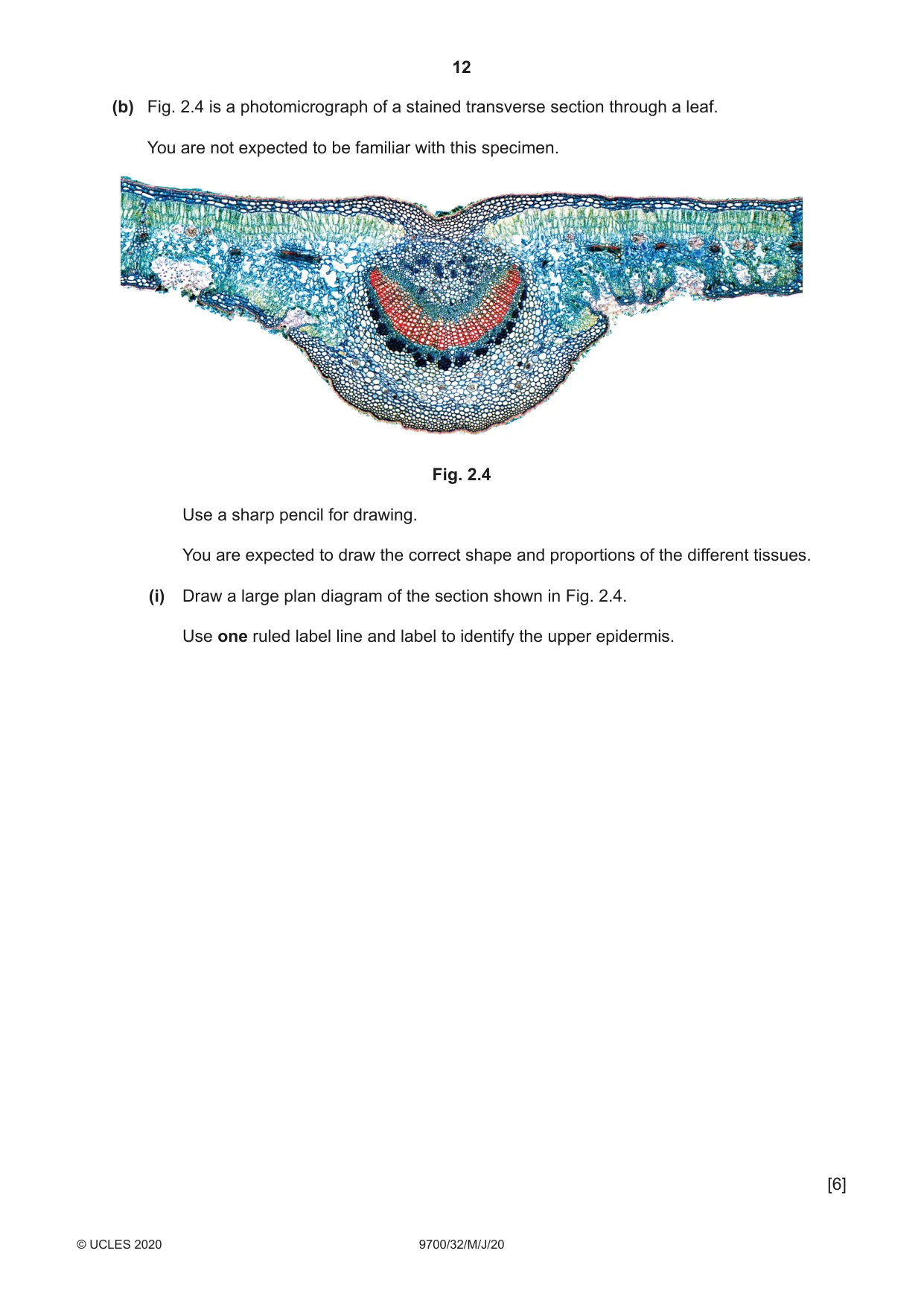 Cambridge A Level Biology 9700 2020 May/June Paper 3 · Variant 2 question paper, page 12 of 16