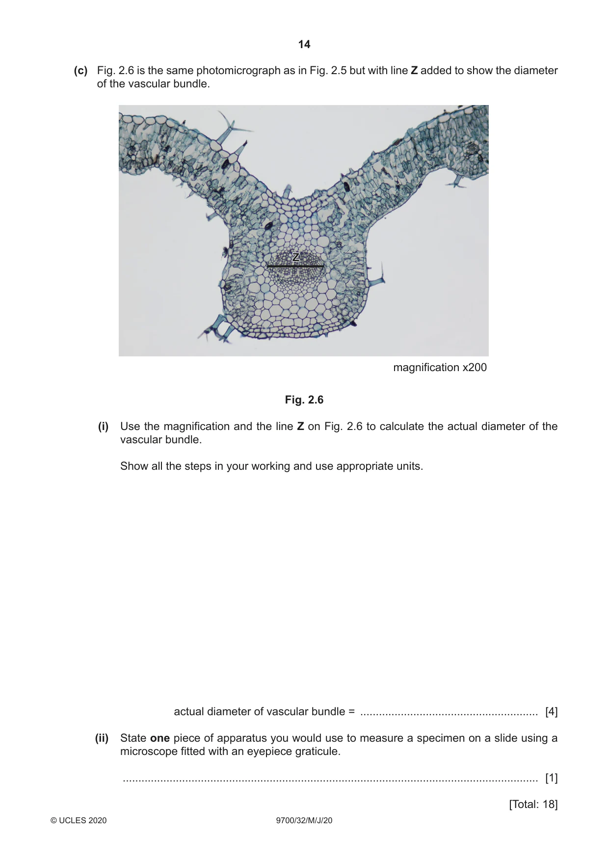 Cambridge A Level Biology 9700 2020 May/June Paper 3 · Variant 2 question paper, page 14 of 16