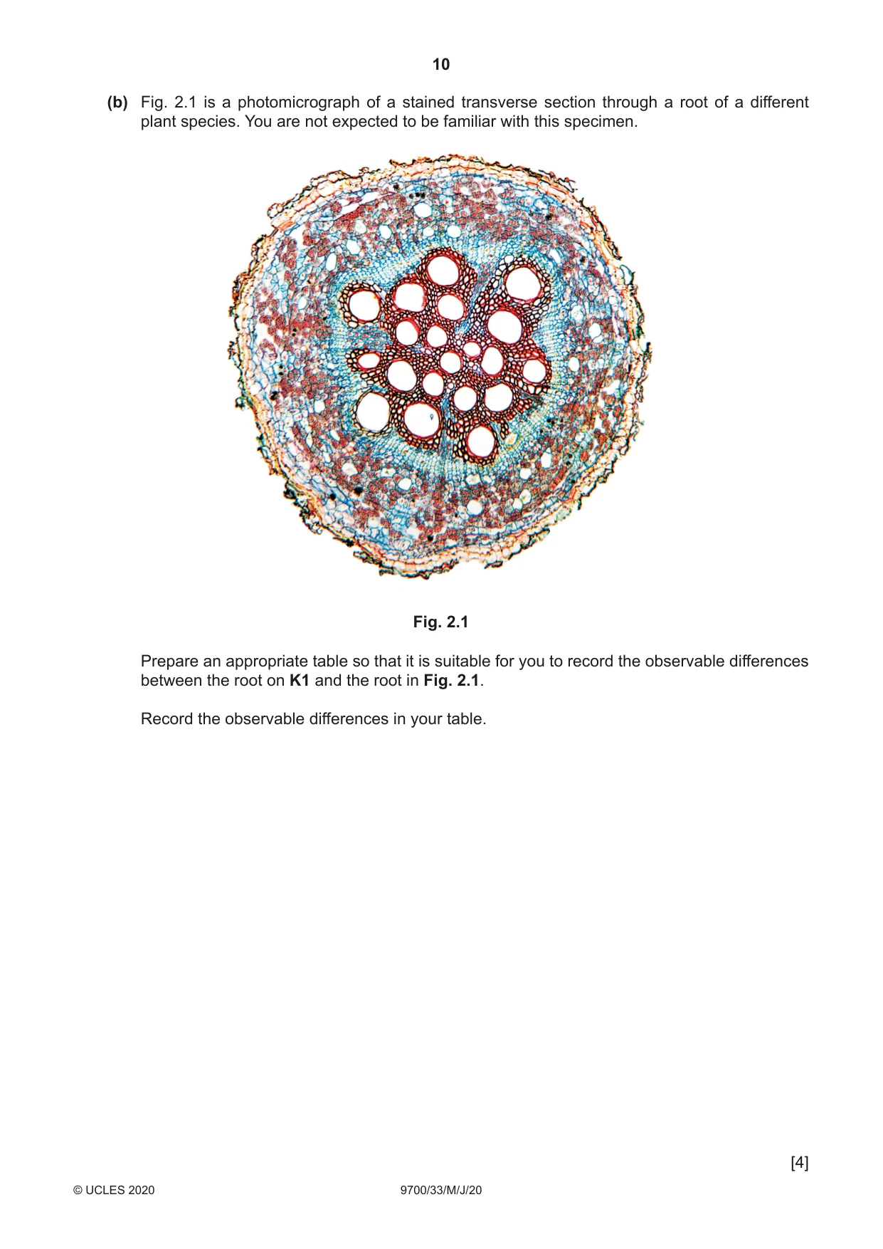 Cambridge A Level Biology 9700 2020 May/June Paper 3 · Variant 3 question paper, page 10 of 12
