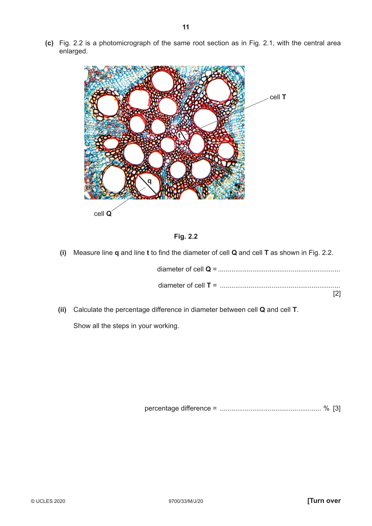 Cambridge A Level Biology 9700 2020 May/June Paper 3 · Variant 3 question paper, page 11 of 12