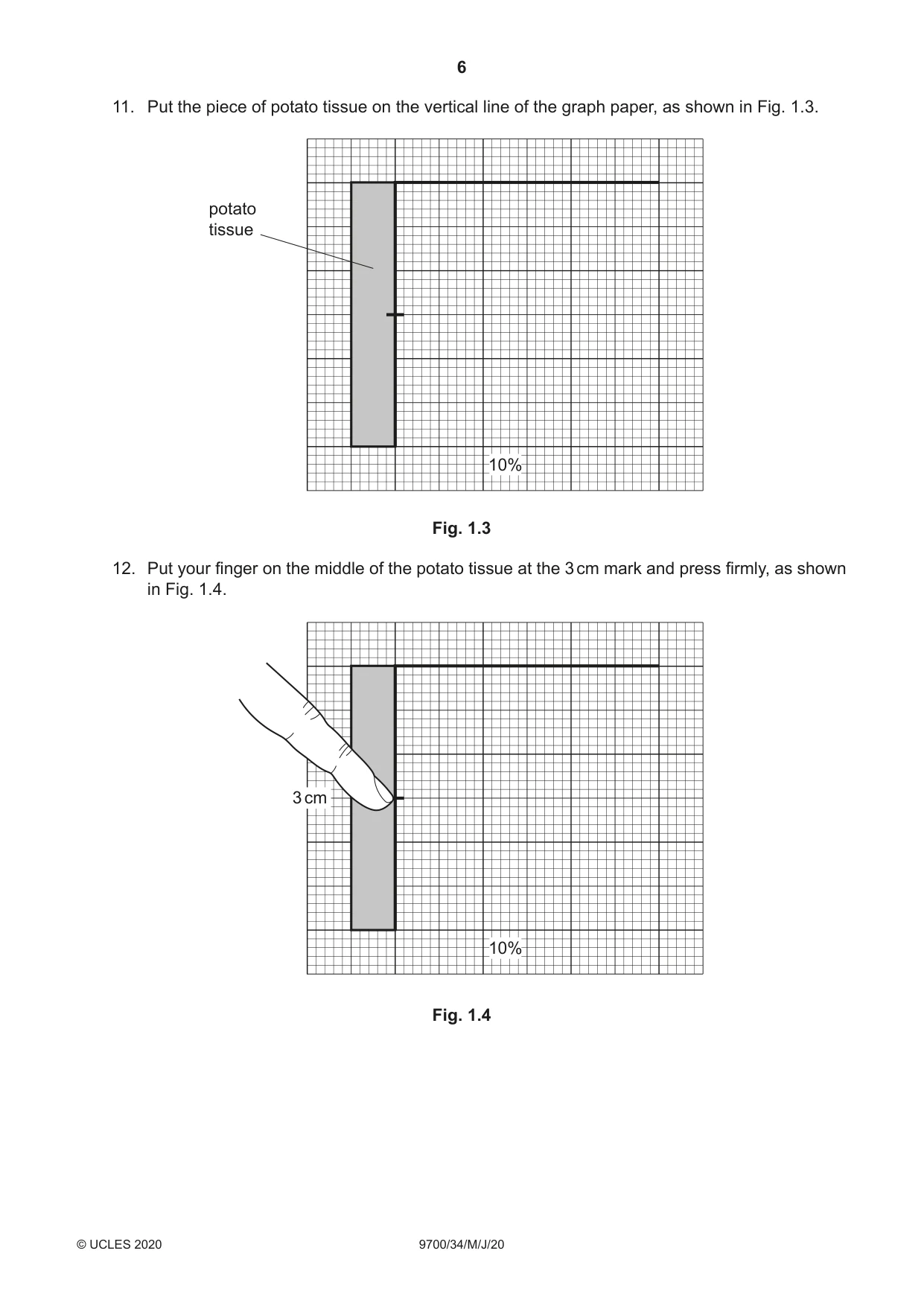 Cambridge A Level Biology 9700 2020 May/June Paper 3 · Variant 4 question paper, page 6 of 16
