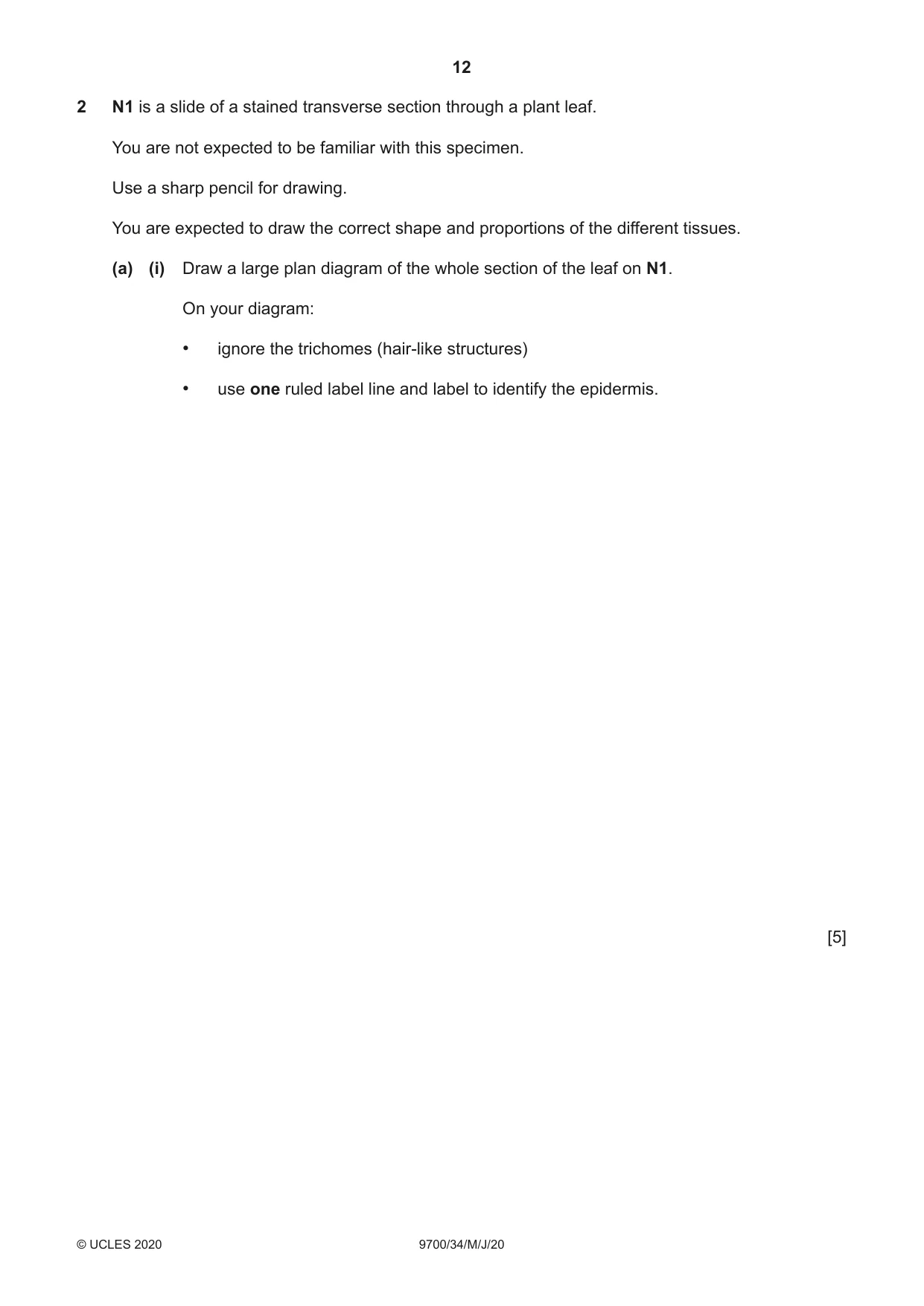 Cambridge A Level Biology 9700 2020 May/June Paper 3 · Variant 4 question paper, page 12 of 16