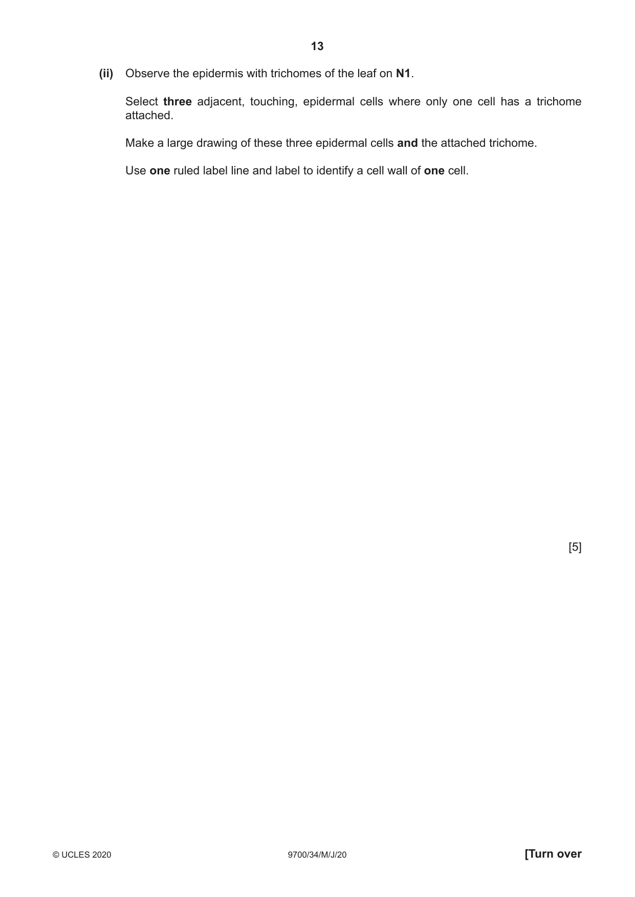 Cambridge A Level Biology 9700 2020 May/June Paper 3 · Variant 4 question paper, page 13 of 16