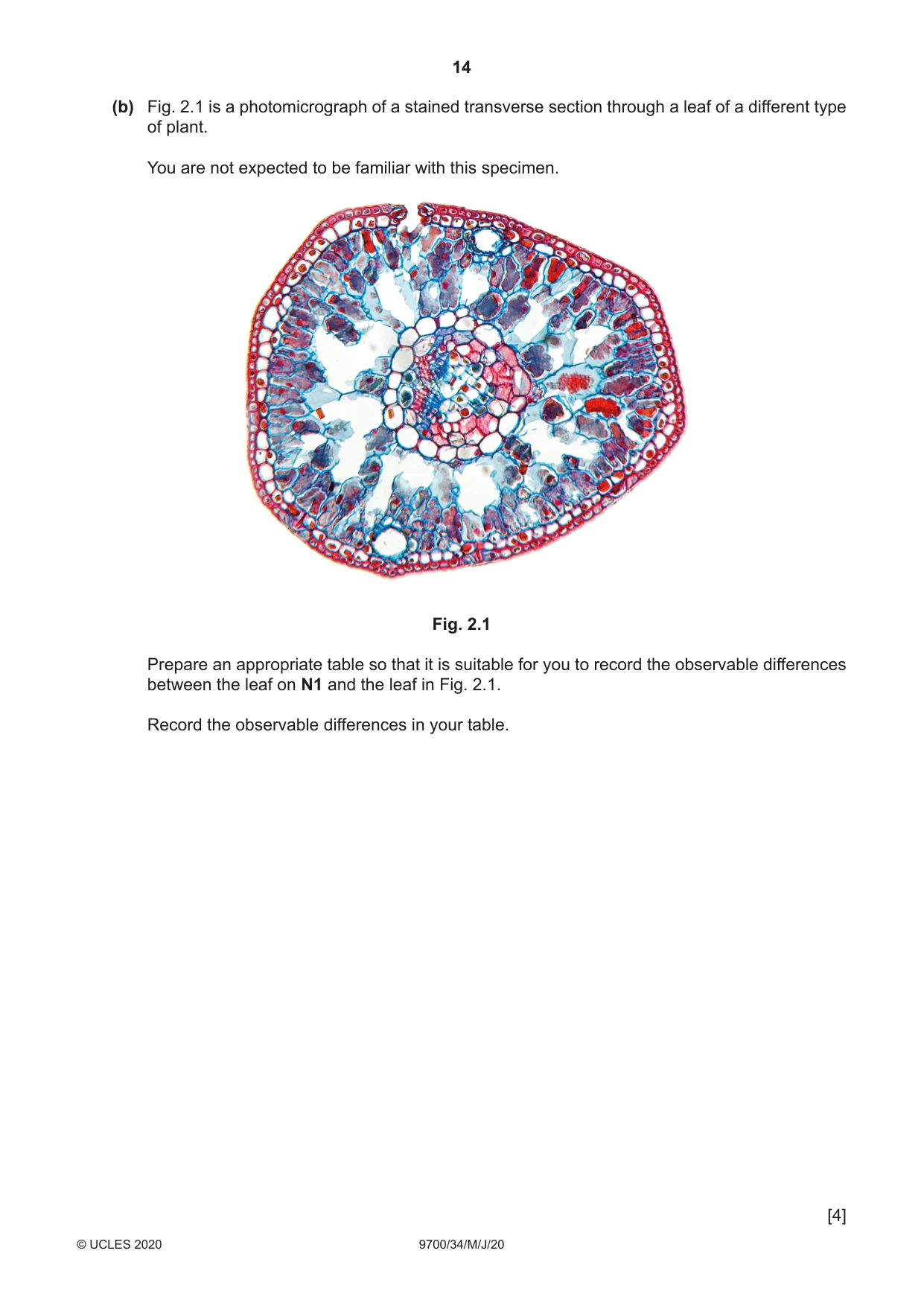 Cambridge A Level Biology 9700 2020 May/June Paper 3 · Variant 4 question paper, page 14 of 16