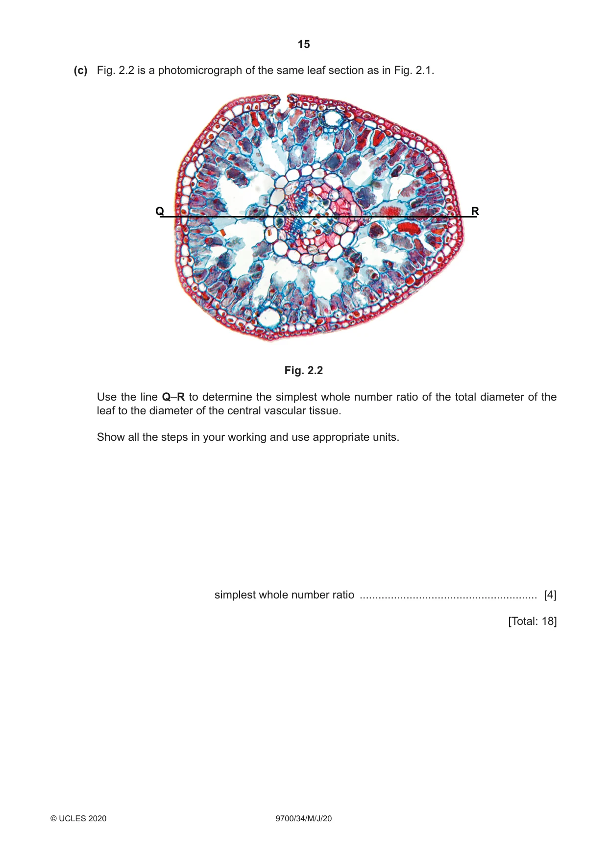 Cambridge A Level Biology 9700 2020 May/June Paper 3 · Variant 4 question paper, page 15 of 16