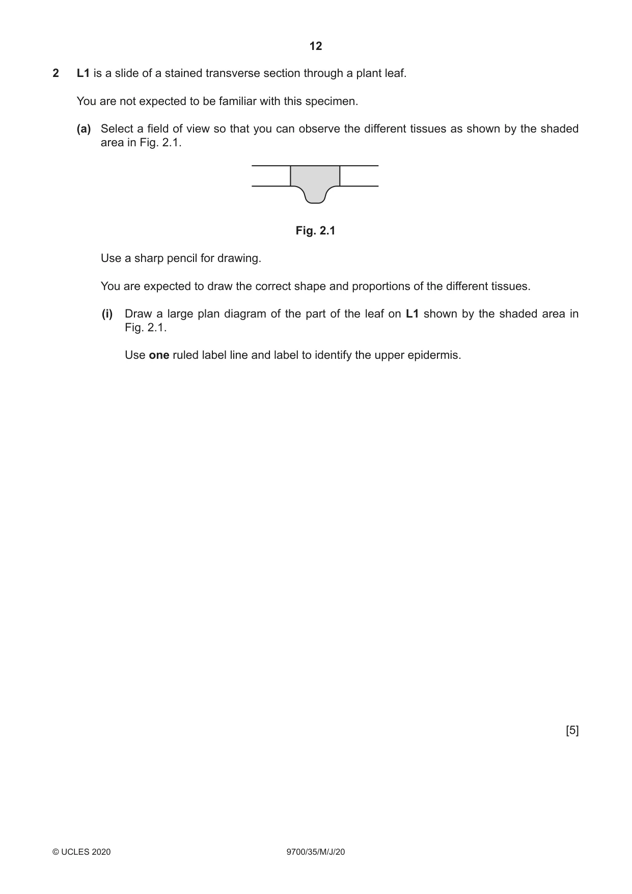 Cambridge A Level Biology 9700 2020 May/June Paper 3 · Variant 5 question paper, page 12 of 16