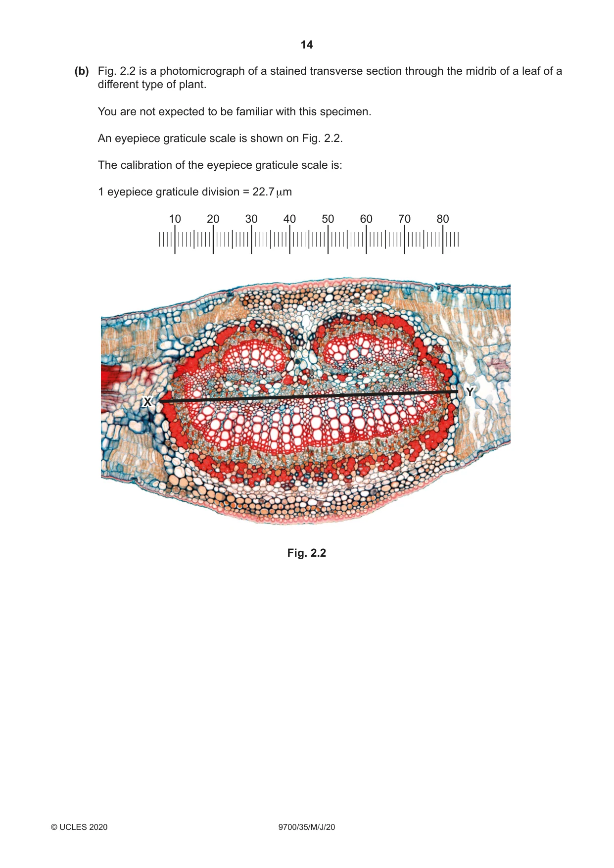 Cambridge A Level Biology 9700 2020 May/June Paper 3 · Variant 5 question paper, page 14 of 16