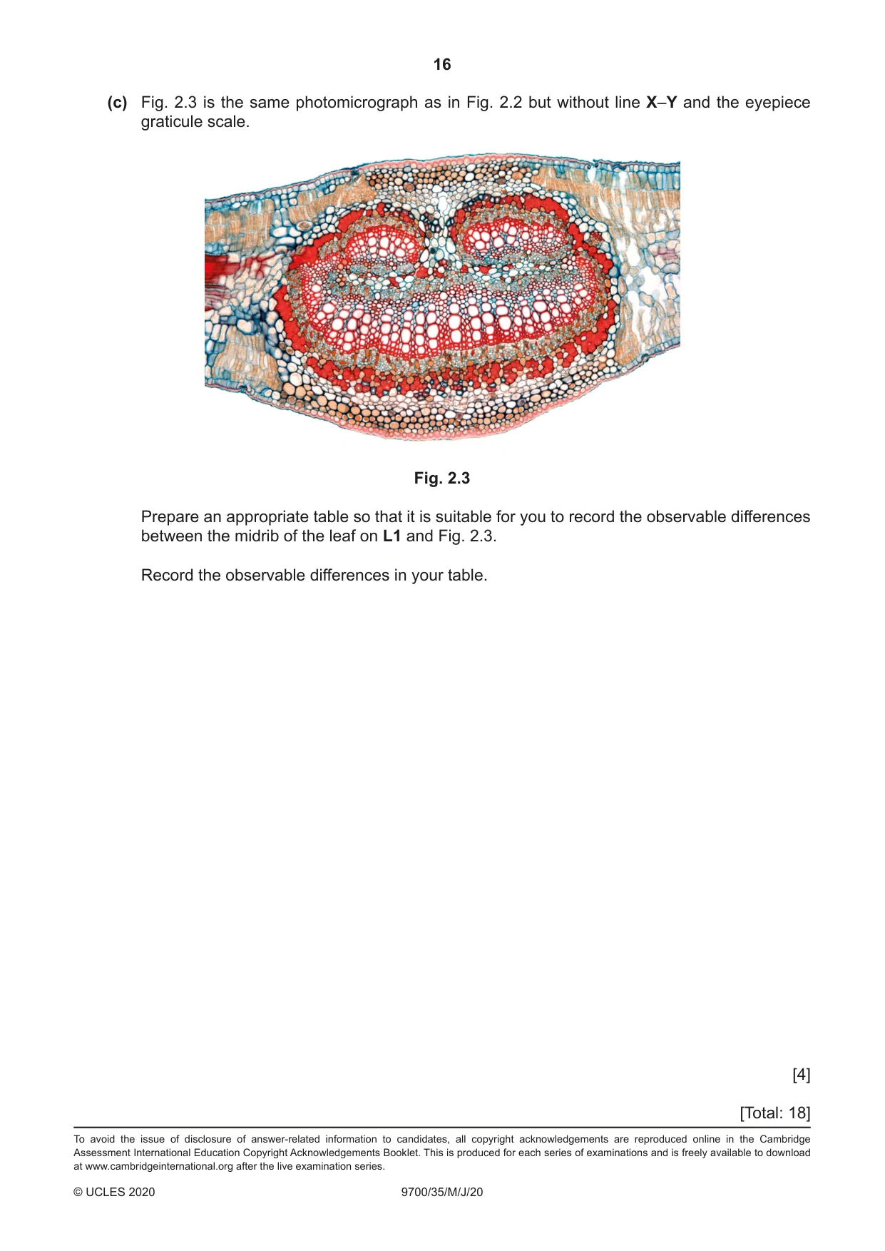 Cambridge A Level Biology 9700 2020 May/June Paper 3 · Variant 5 question paper, page 16 of 16