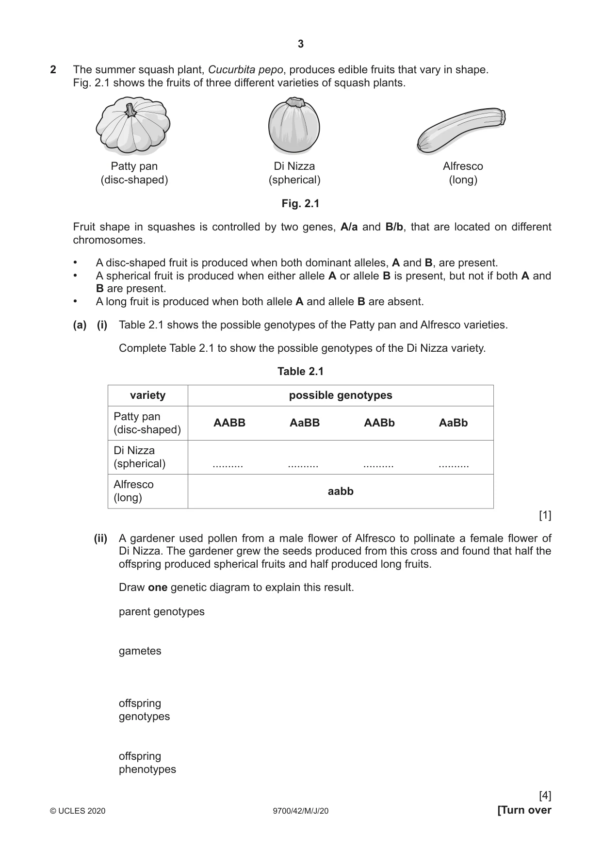 Cambridge A Level Biology 9700 2020 May/June Paper 4 · Variant 2 question paper, page 3 of 24