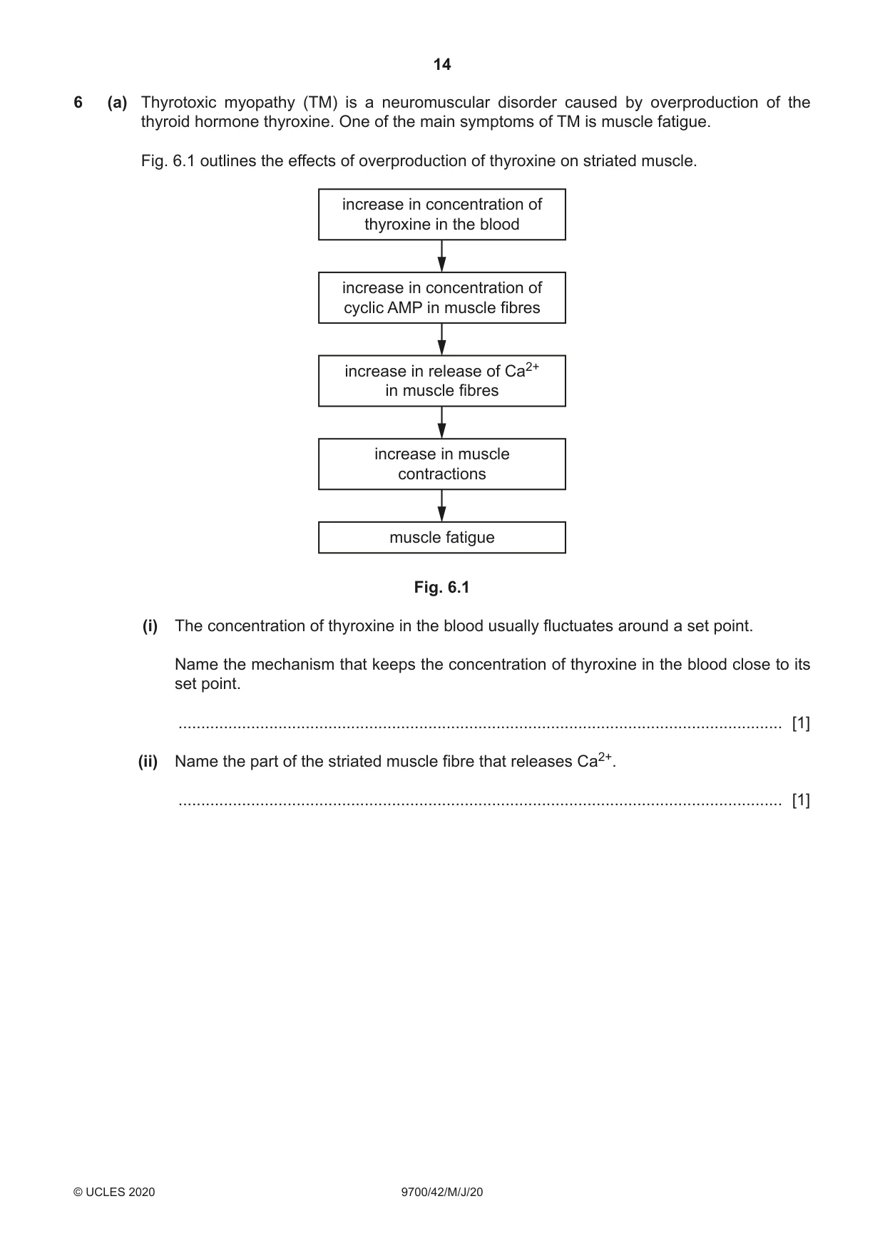 Cambridge A Level Biology 9700 2020 May/June Paper 4 · Variant 2 question paper, page 14 of 24