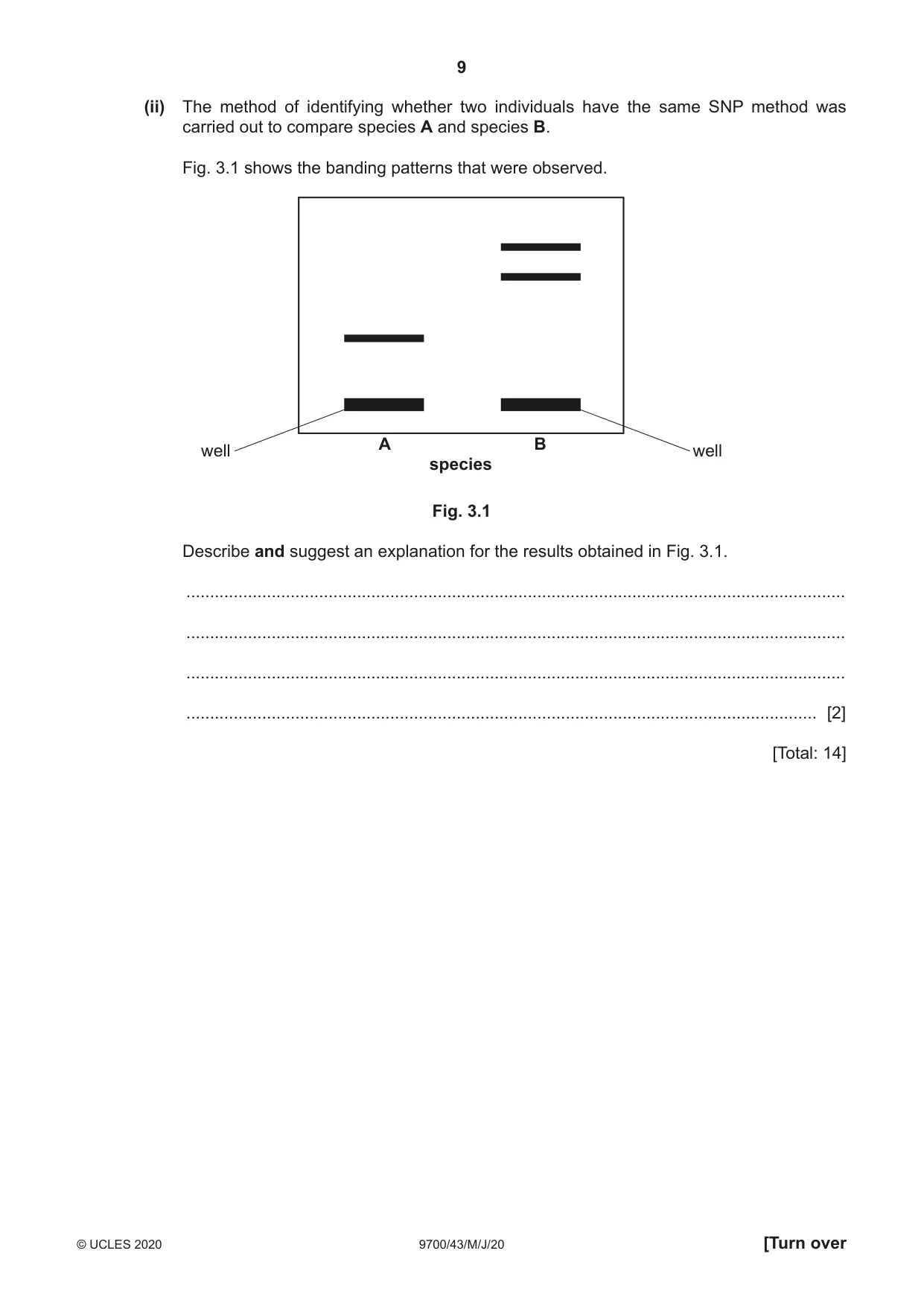 Cambridge A Level Biology 9700 2020 May/June Paper 4 · Variant 3 question paper, page 9 of 24