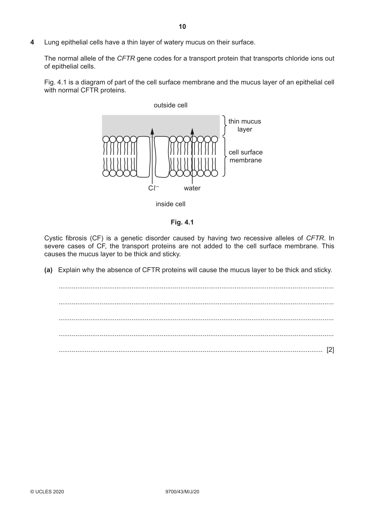 Cambridge A Level Biology 9700 2020 May/June Paper 4 · Variant 3 question paper, page 10 of 24