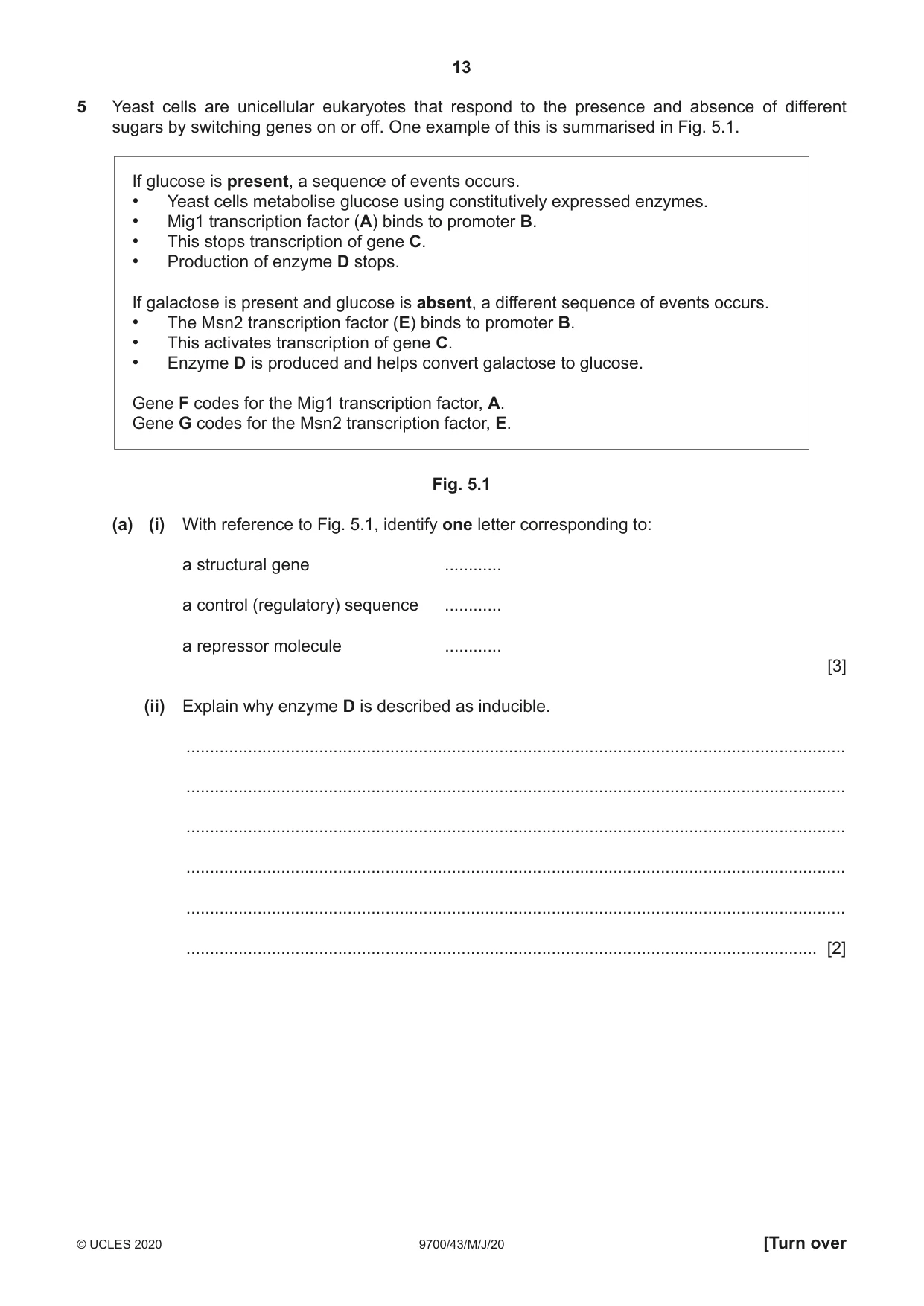 Cambridge A Level Biology 9700 2020 May/June Paper 4 · Variant 3 question paper, page 13 of 24
