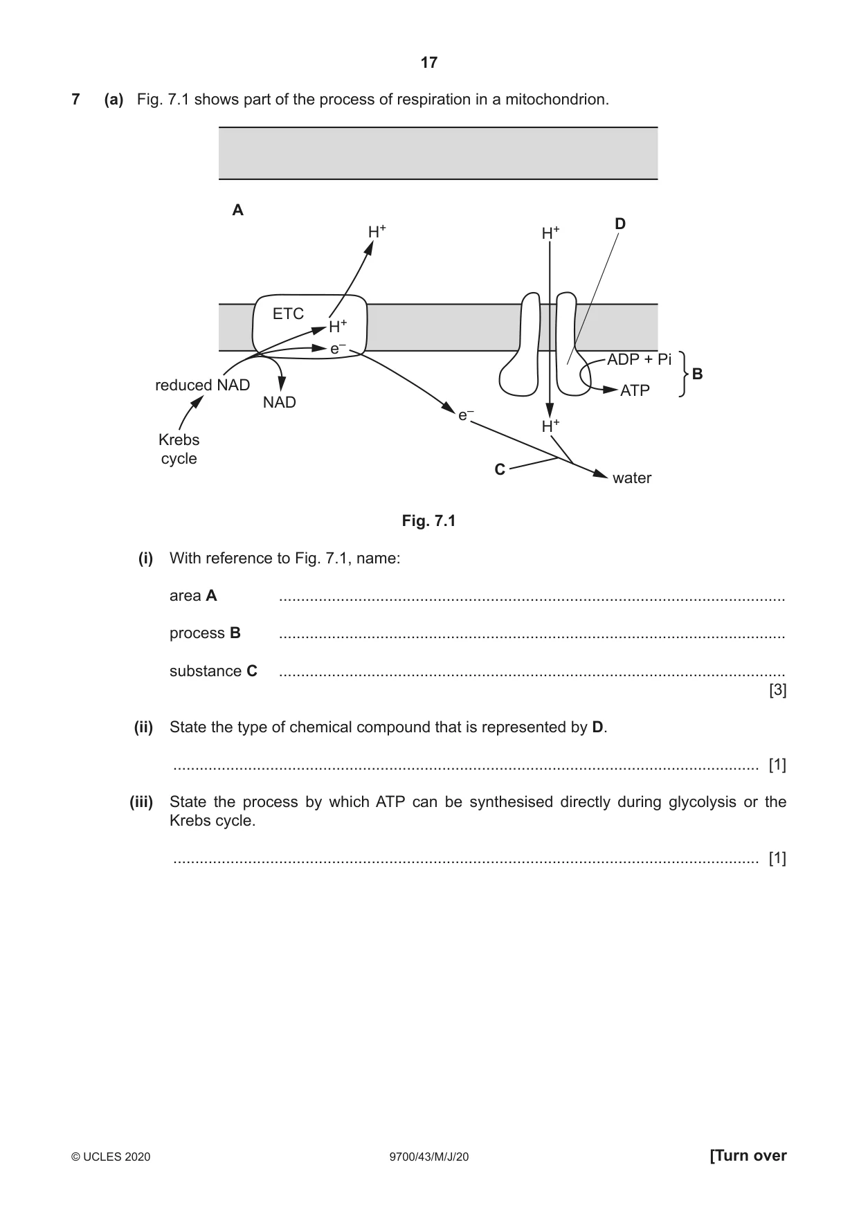 Cambridge A Level Biology 9700 2020 May/June Paper 4 · Variant 3 question paper, page 17 of 24