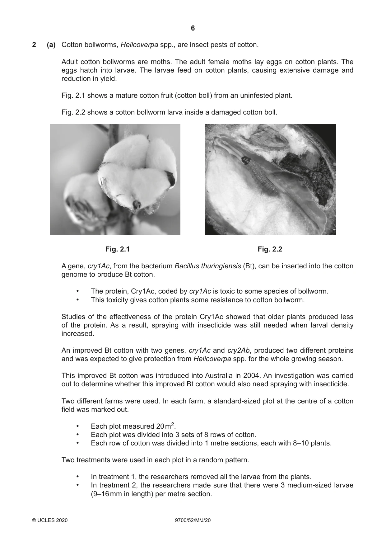 Cambridge A Level Biology 9700 2020 May/June Paper 5 · Variant 2 question paper, page 6 of 12
