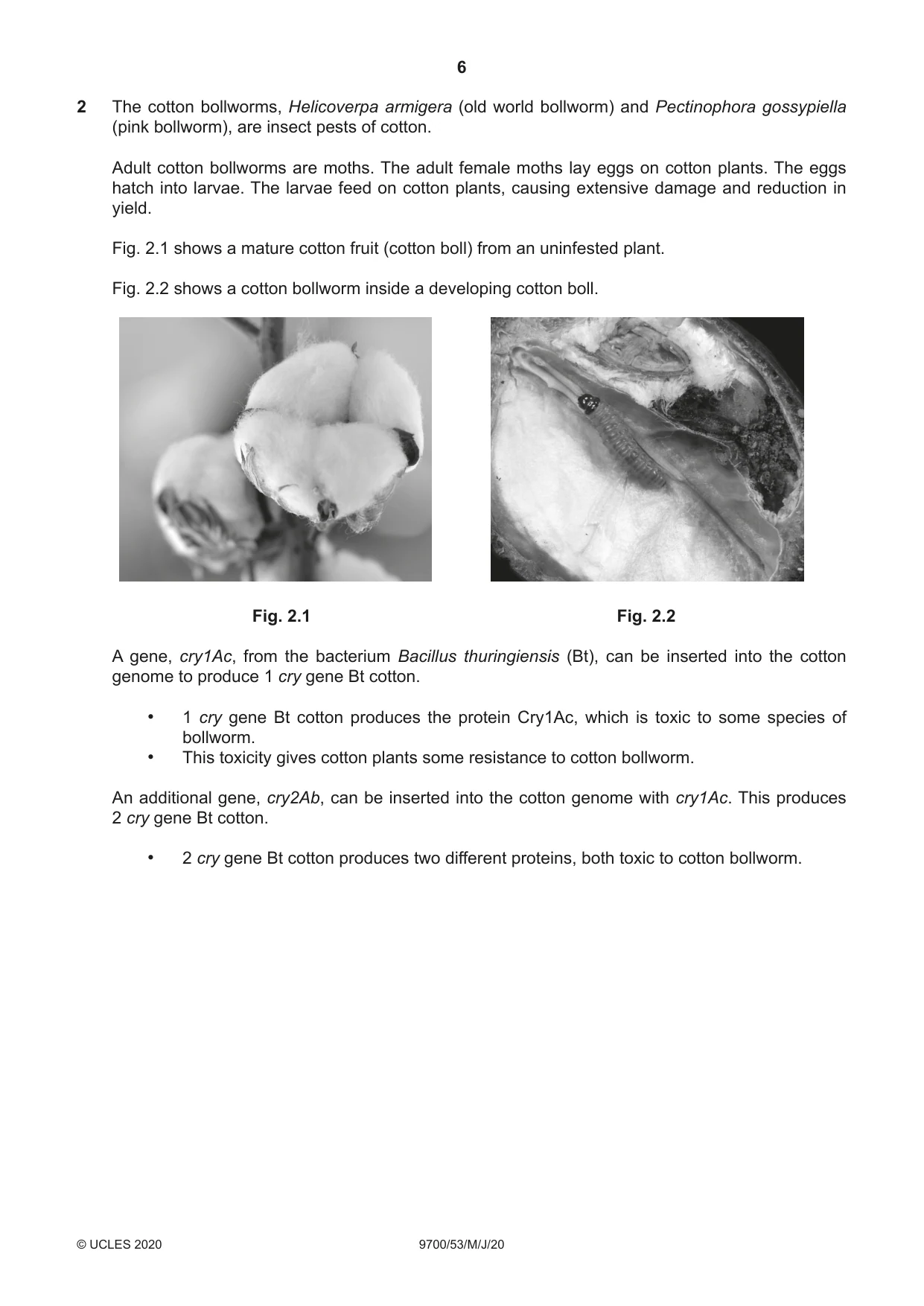 Cambridge A Level Biology 9700 2020 May/June Paper 5 · Variant 3 question paper, page 6 of 12