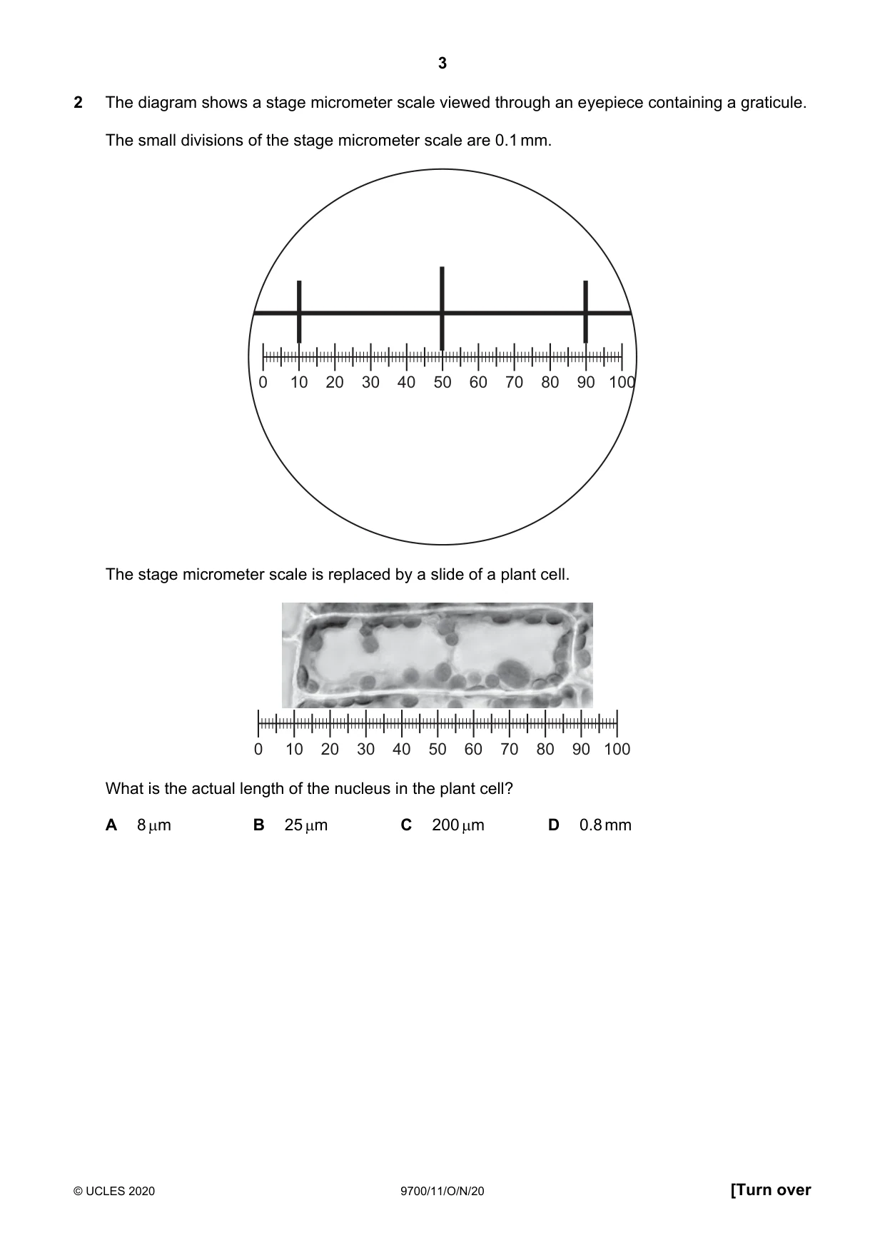 Cambridge A Level Biology 9700 2020 Oct/Nov Paper 1 · Variant 1 question paper, page 3 of 20