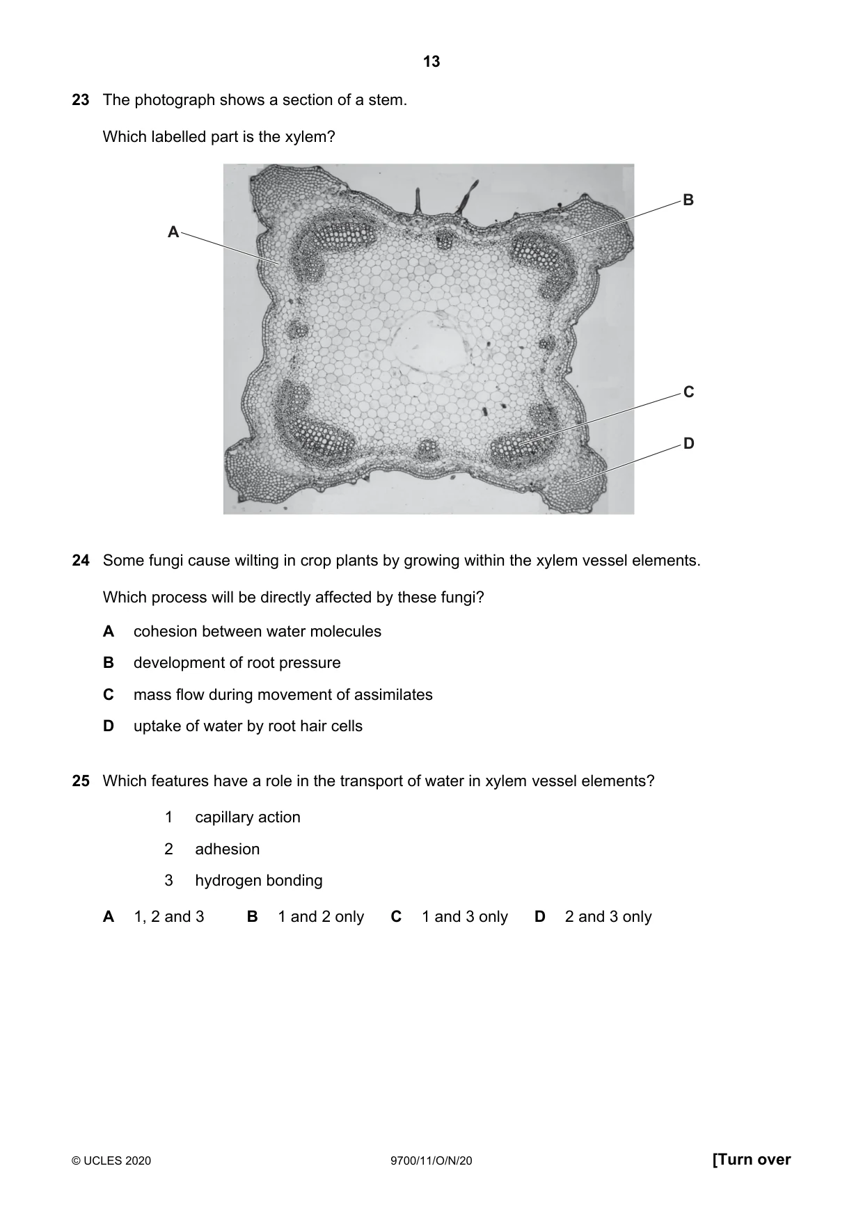 Cambridge A Level Biology 9700 2020 Oct/Nov Paper 1 · Variant 1 question paper, page 13 of 20