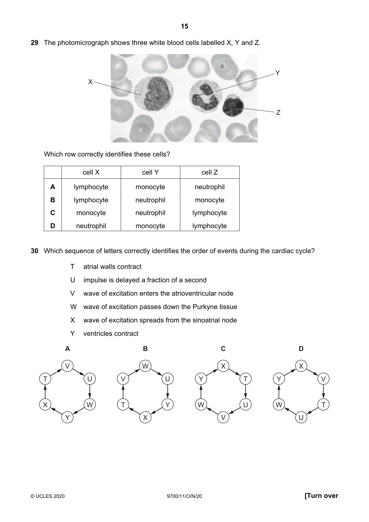 Cambridge A Level Biology 9700 2020 Oct/Nov Paper 1 · Variant 1 question paper, page 15 of 20