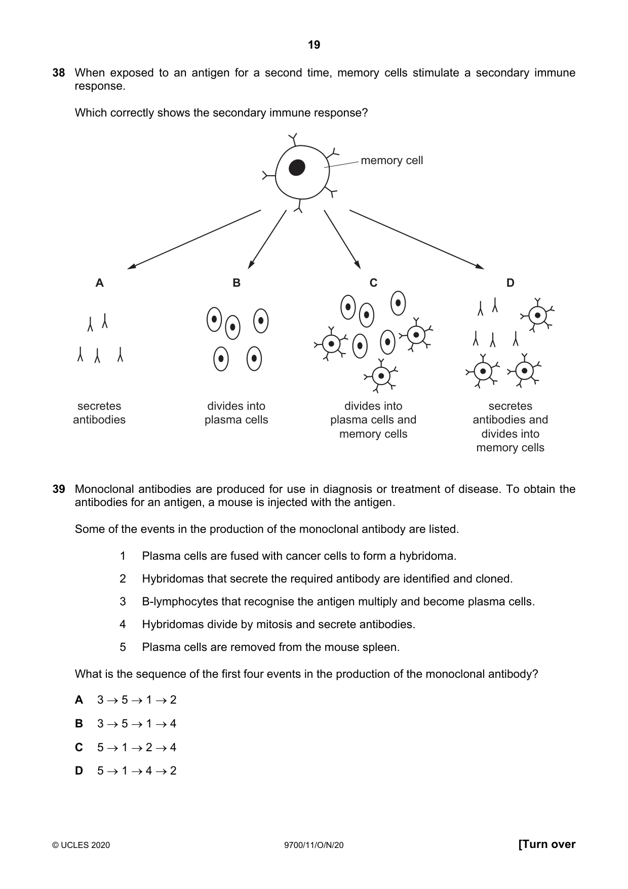 Cambridge A Level Biology 9700 2020 Oct/Nov Paper 1 · Variant 1 question paper, page 19 of 20