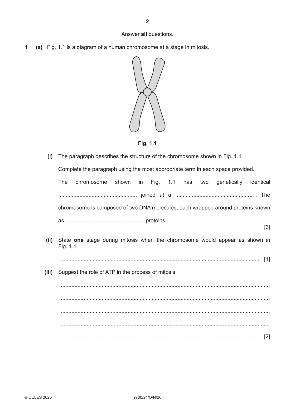Cambridge A Level Biology 9700 2020 Oct/Nov Paper 2 · Variant 1 question paper, page 2 of 16