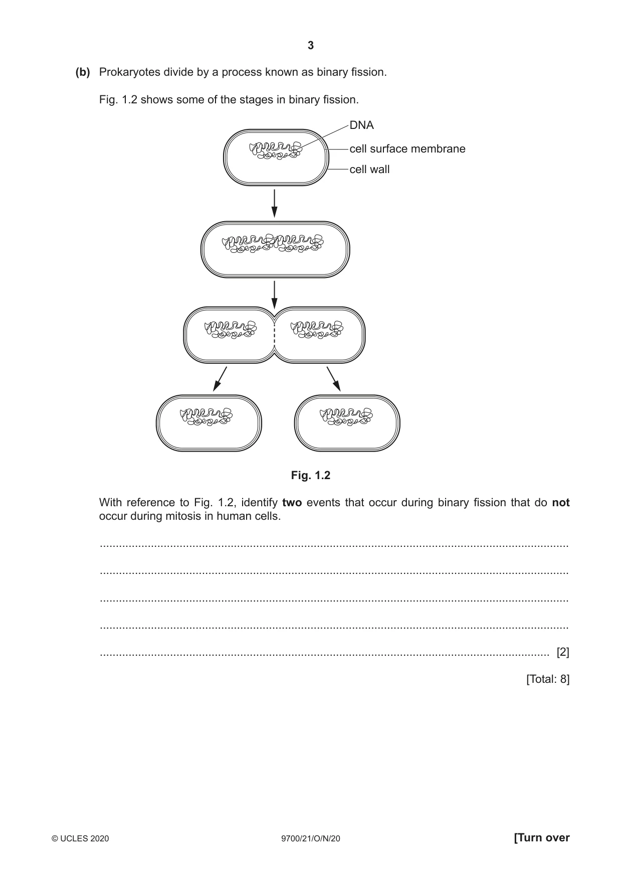 Cambridge A Level Biology 9700 2020 Oct/Nov Paper 2 · Variant 1 question paper, page 3 of 16