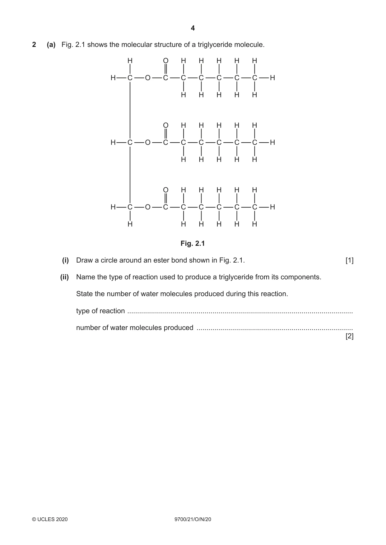 Cambridge A Level Biology 9700 2020 Oct/Nov Paper 2 · Variant 1 question paper, page 4 of 16