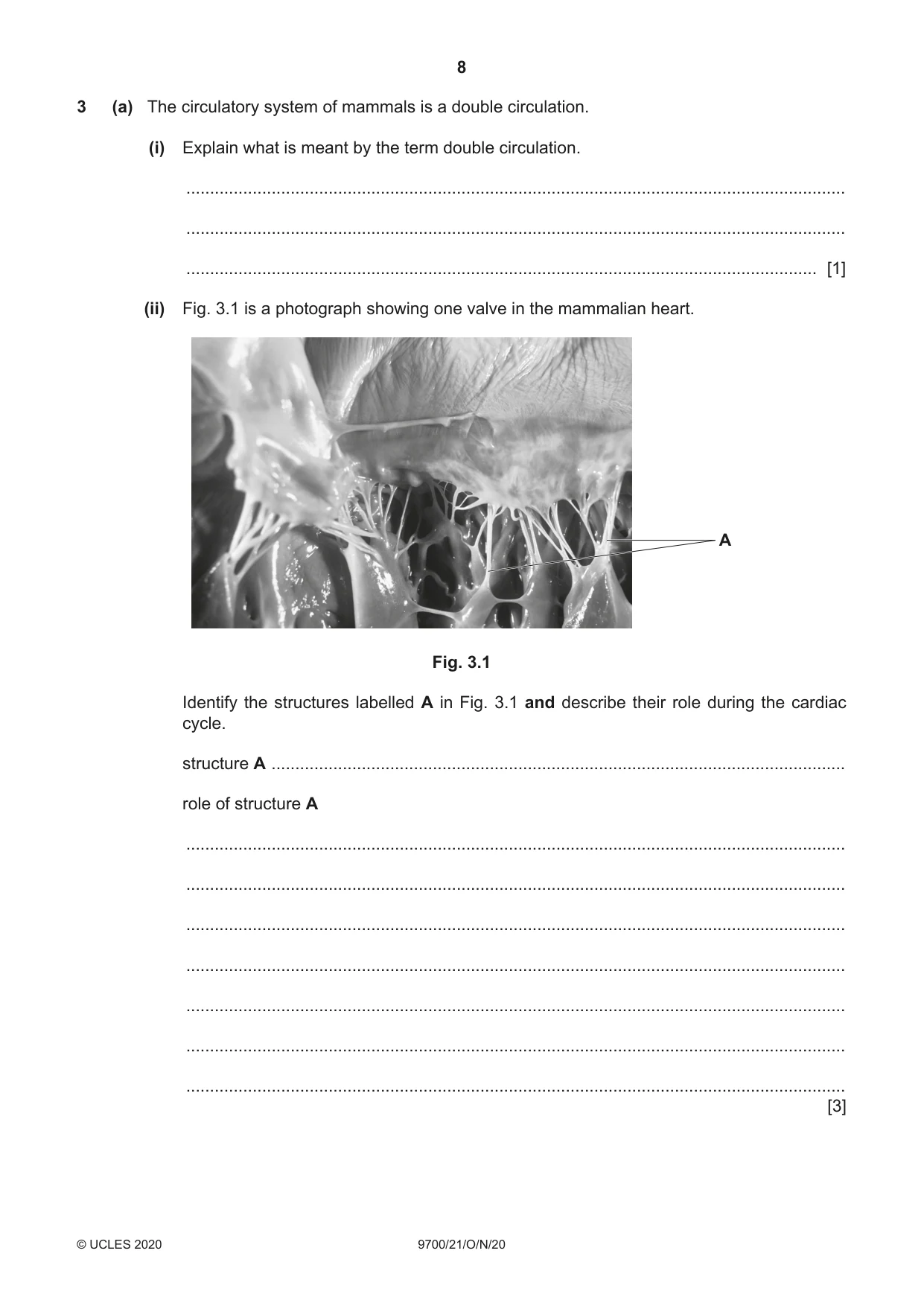 Cambridge A Level Biology 9700 2020 Oct/Nov Paper 2 · Variant 1 question paper, page 8 of 16