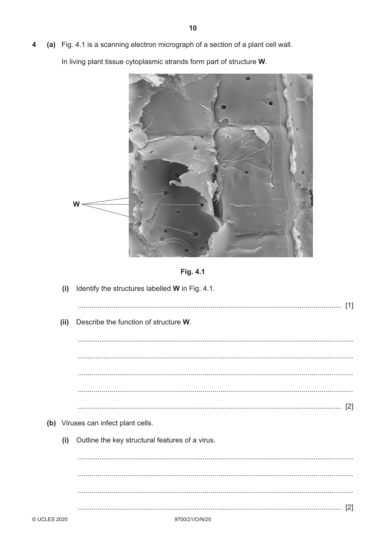 Cambridge A Level Biology 9700 2020 Oct/Nov Paper 2 · Variant 1 question paper, page 10 of 16