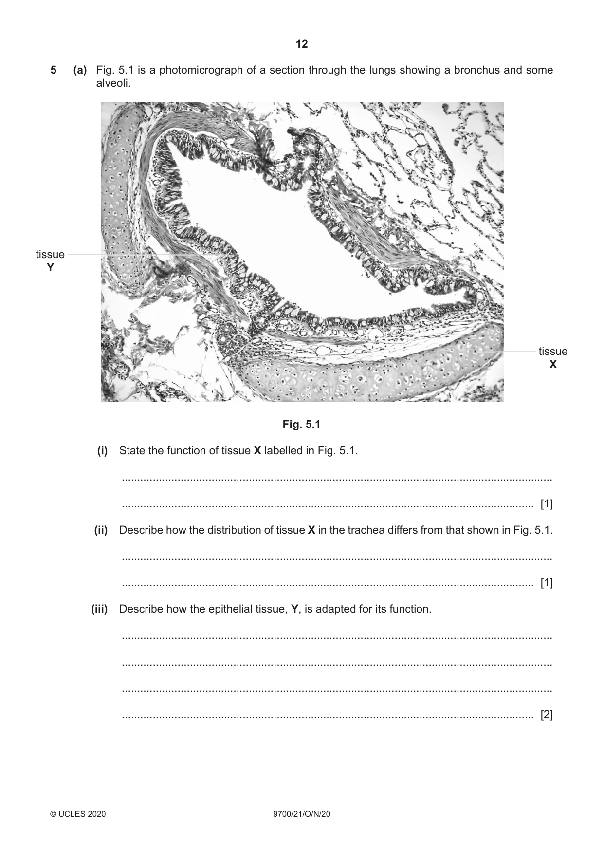 Cambridge A Level Biology 9700 2020 Oct/Nov Paper 2 · Variant 1 question paper, page 12 of 16