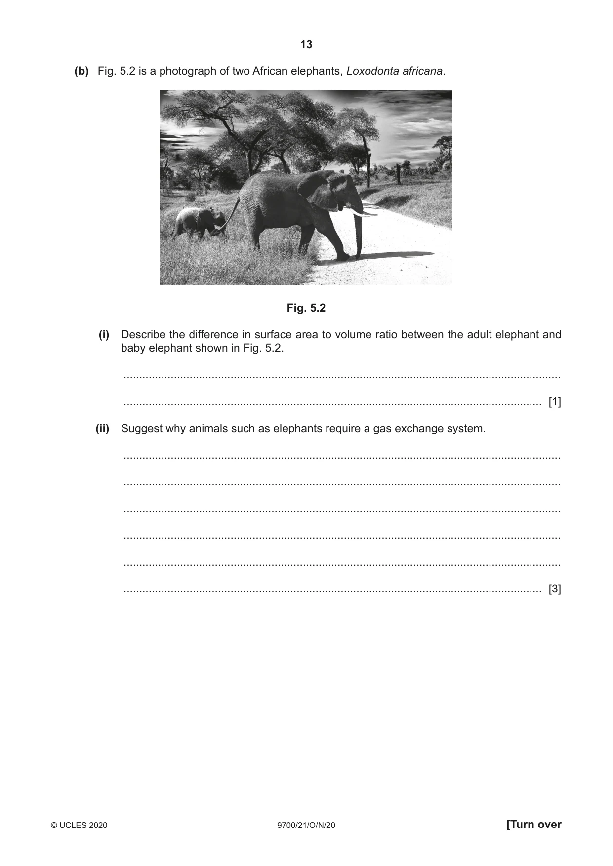 Cambridge A Level Biology 9700 2020 Oct/Nov Paper 2 · Variant 1 question paper, page 13 of 16